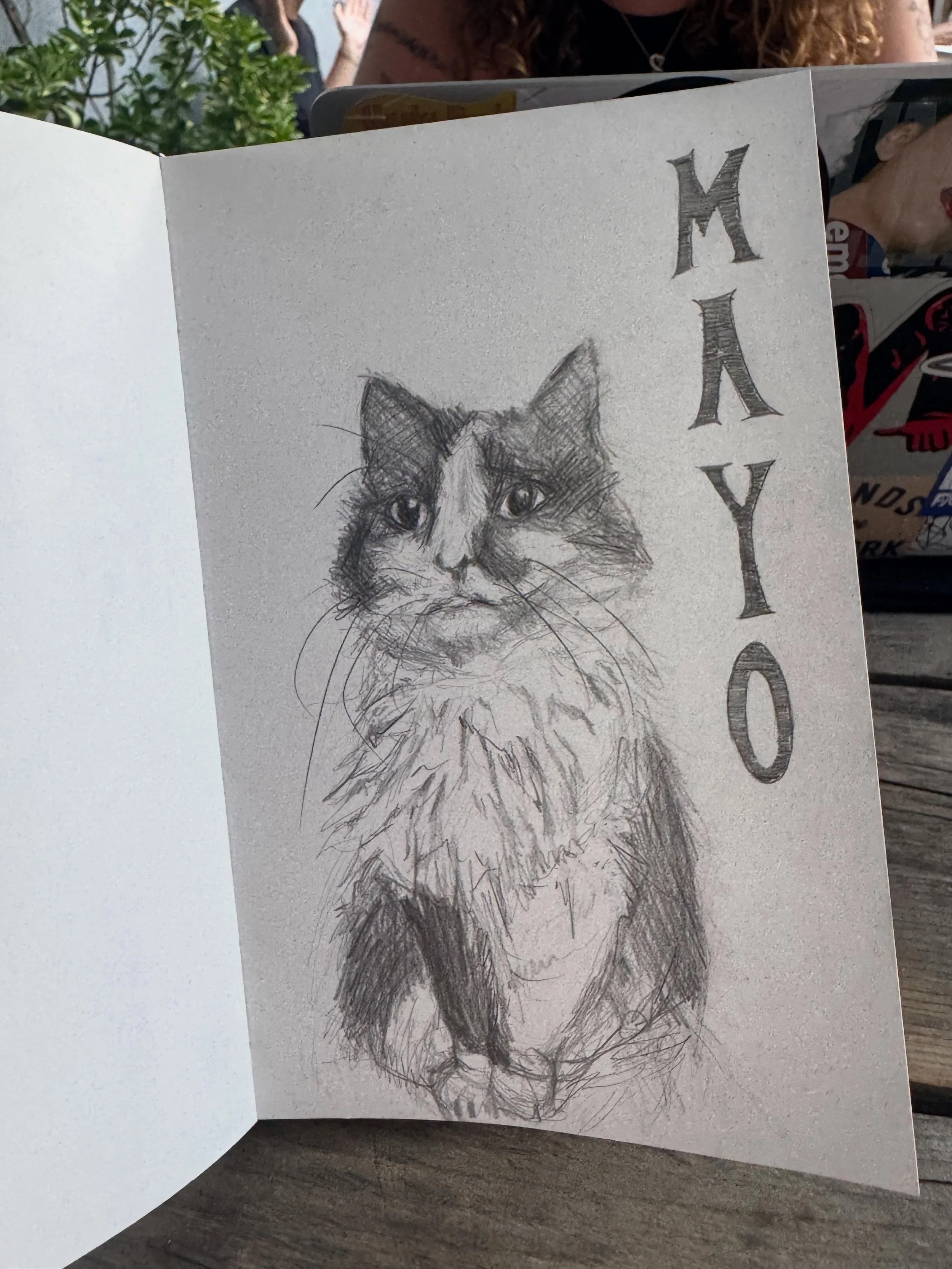 Drew jojo&rsquo;s cat, mayonnaise, while she ignored me and worked on her big music article 😻