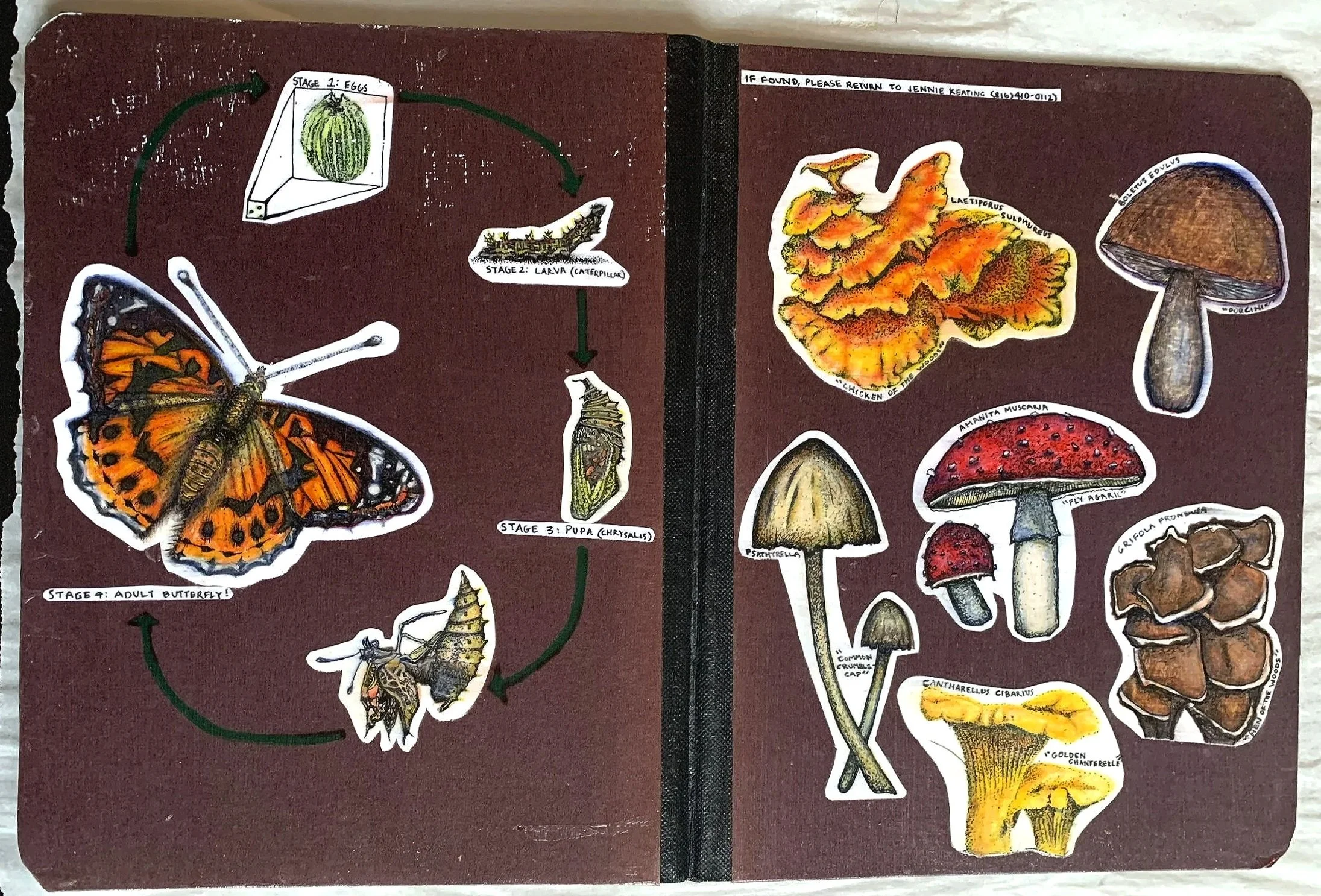 Ink, colored pencil, collage