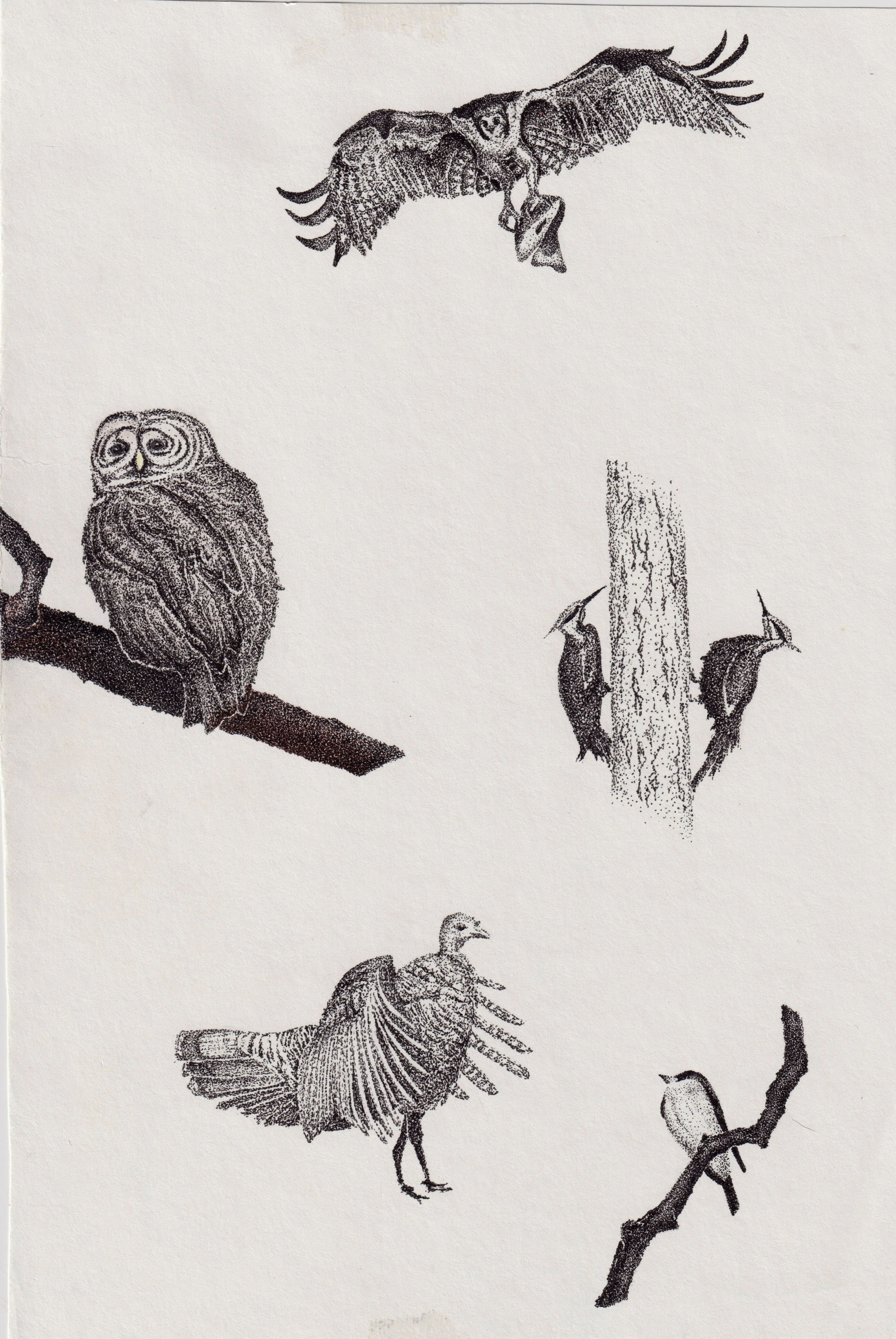 Ink