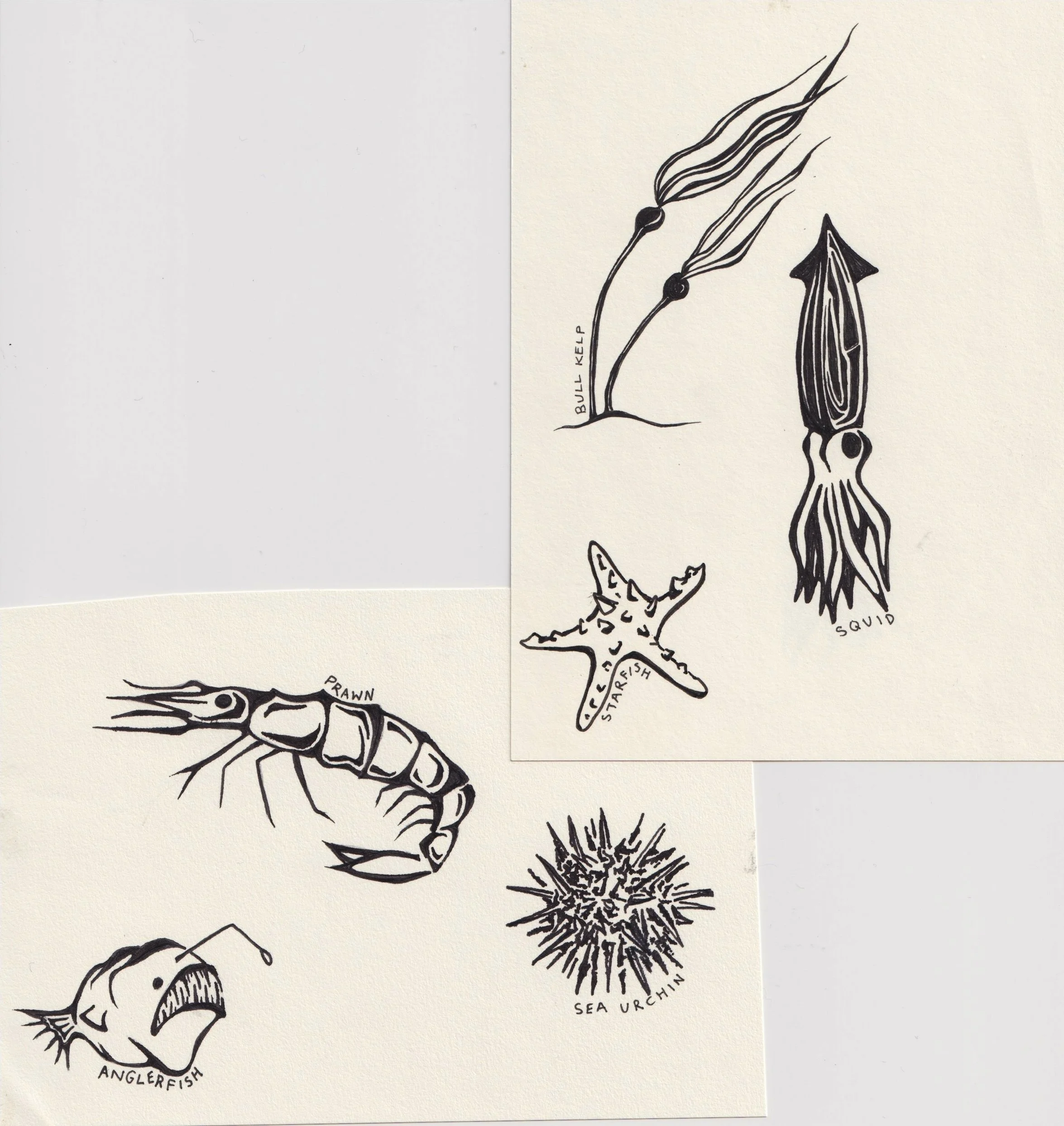 Ink