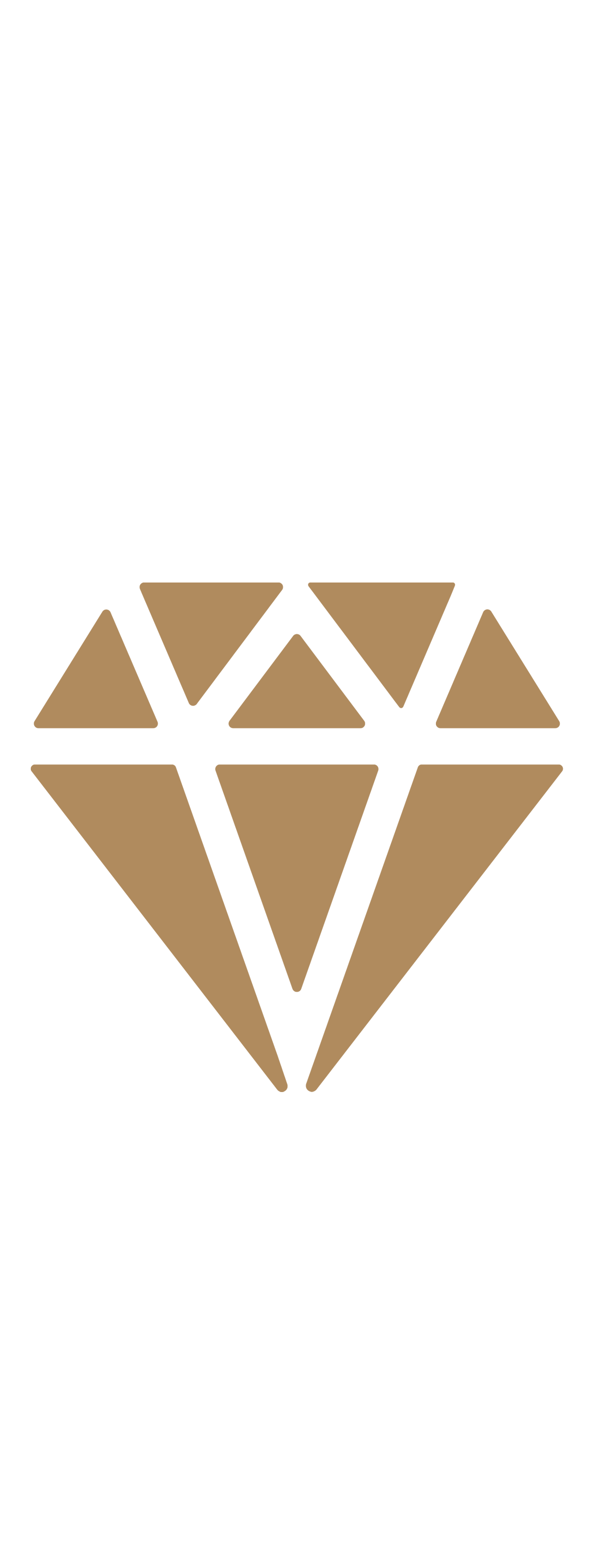 mens wellness coach