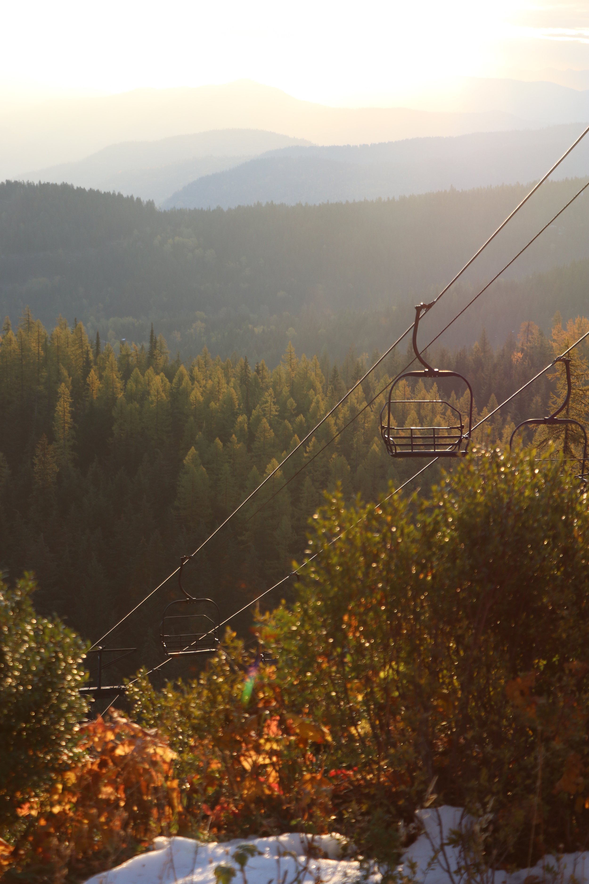Ski lift chairs hanging over a forested mountain landscape with snow on the ground and sunlight illuminating the scene.