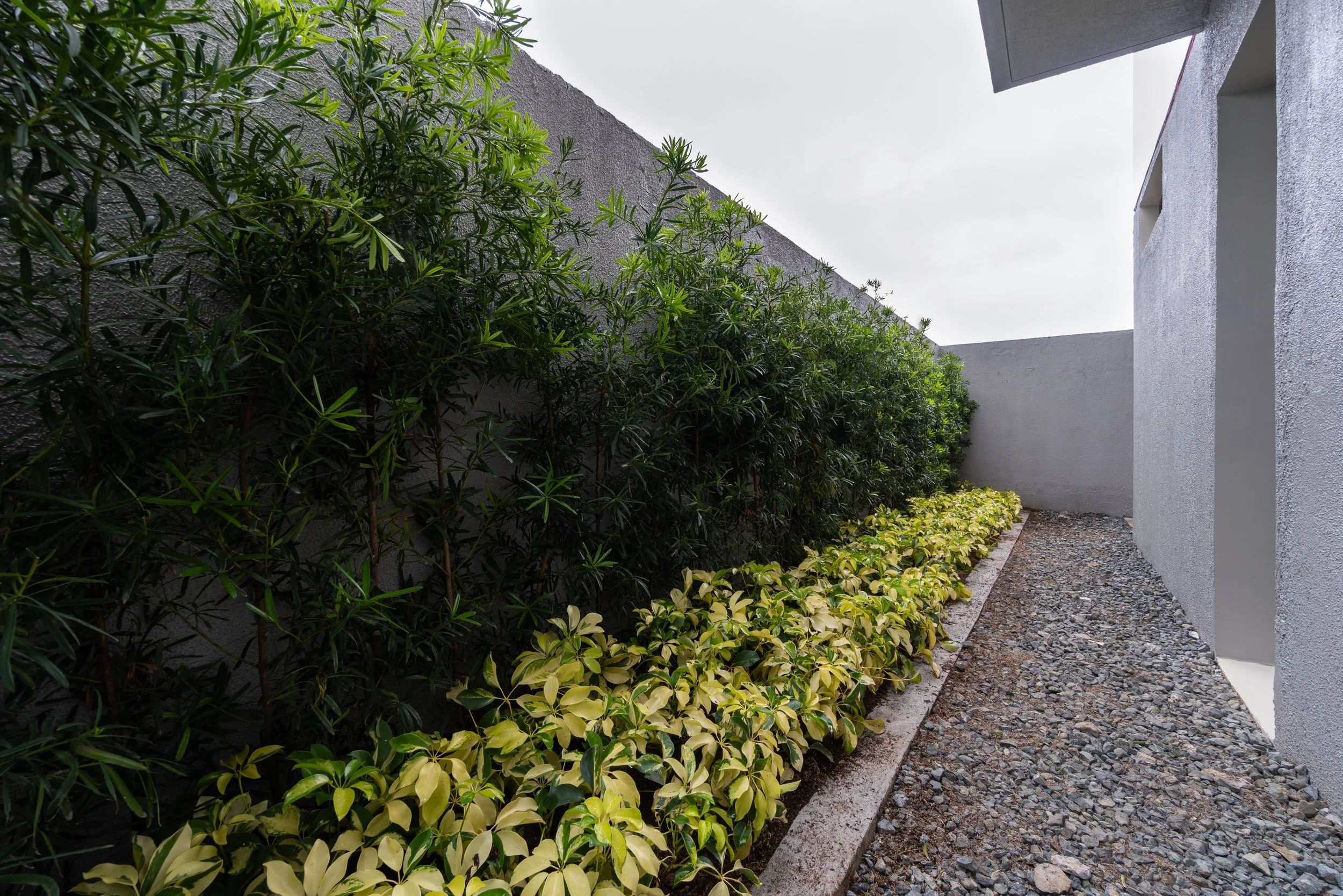 Garden (1).jpg