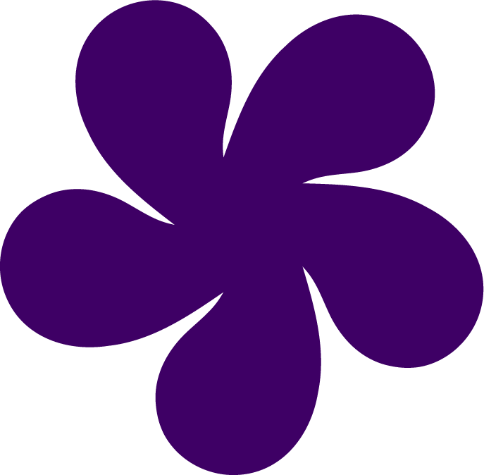 Une grande fleur violette avec cinq pétales