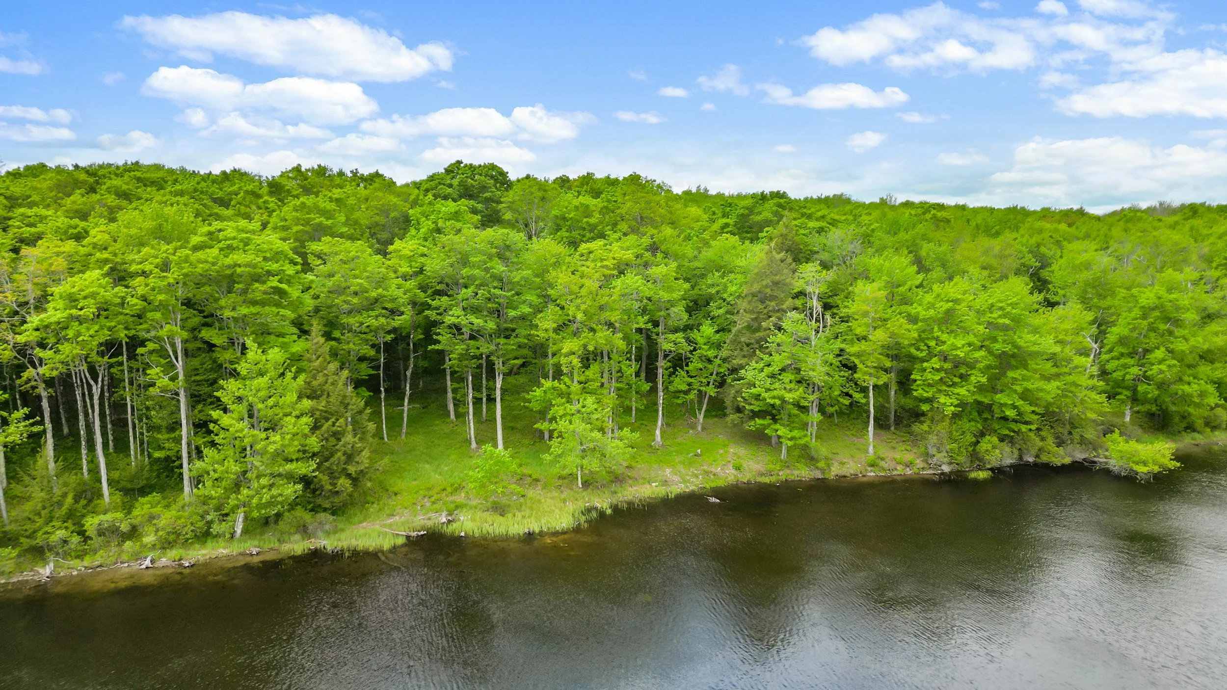 DJI_0169.jpg