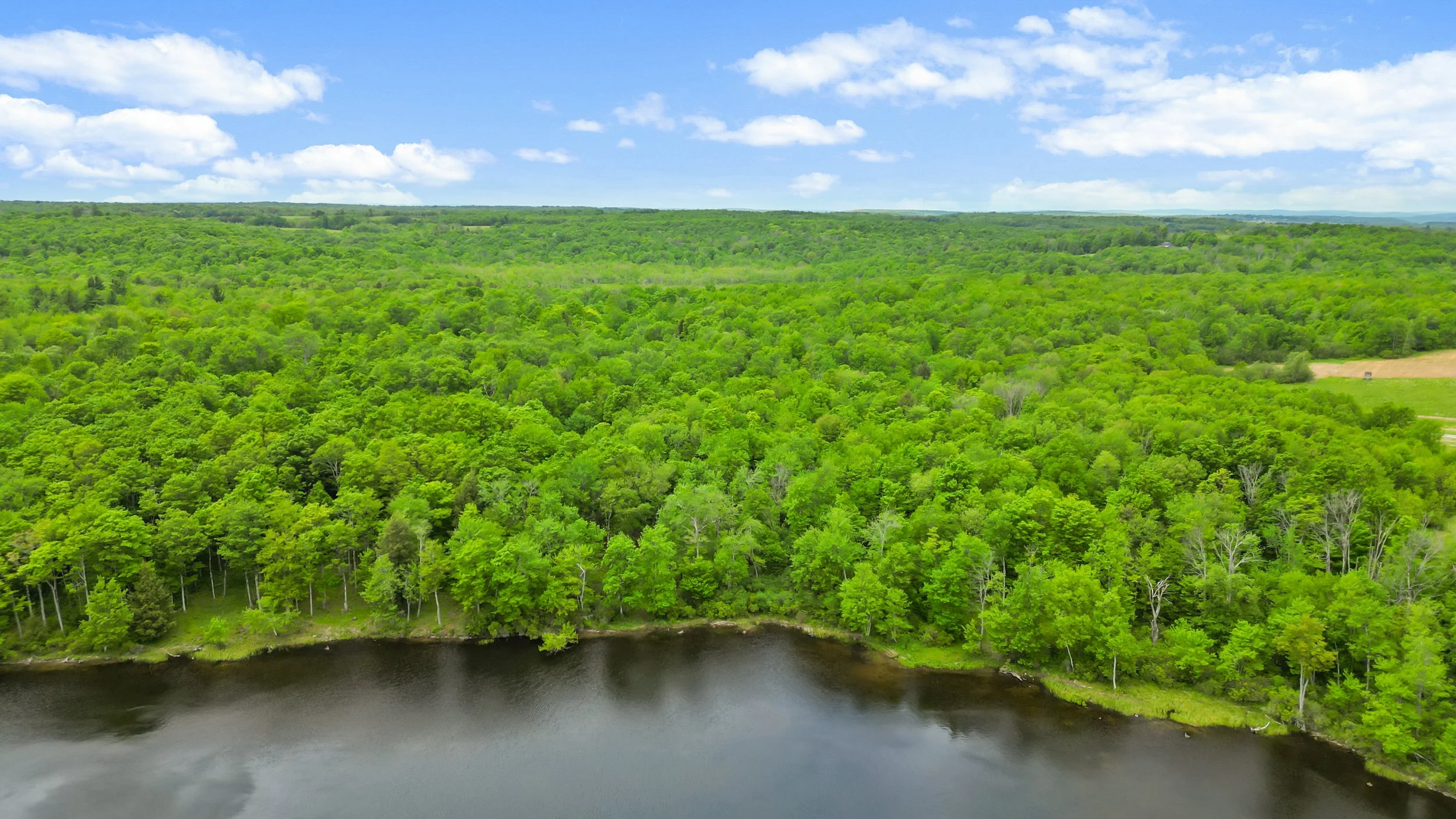 DJI_0158.jpg