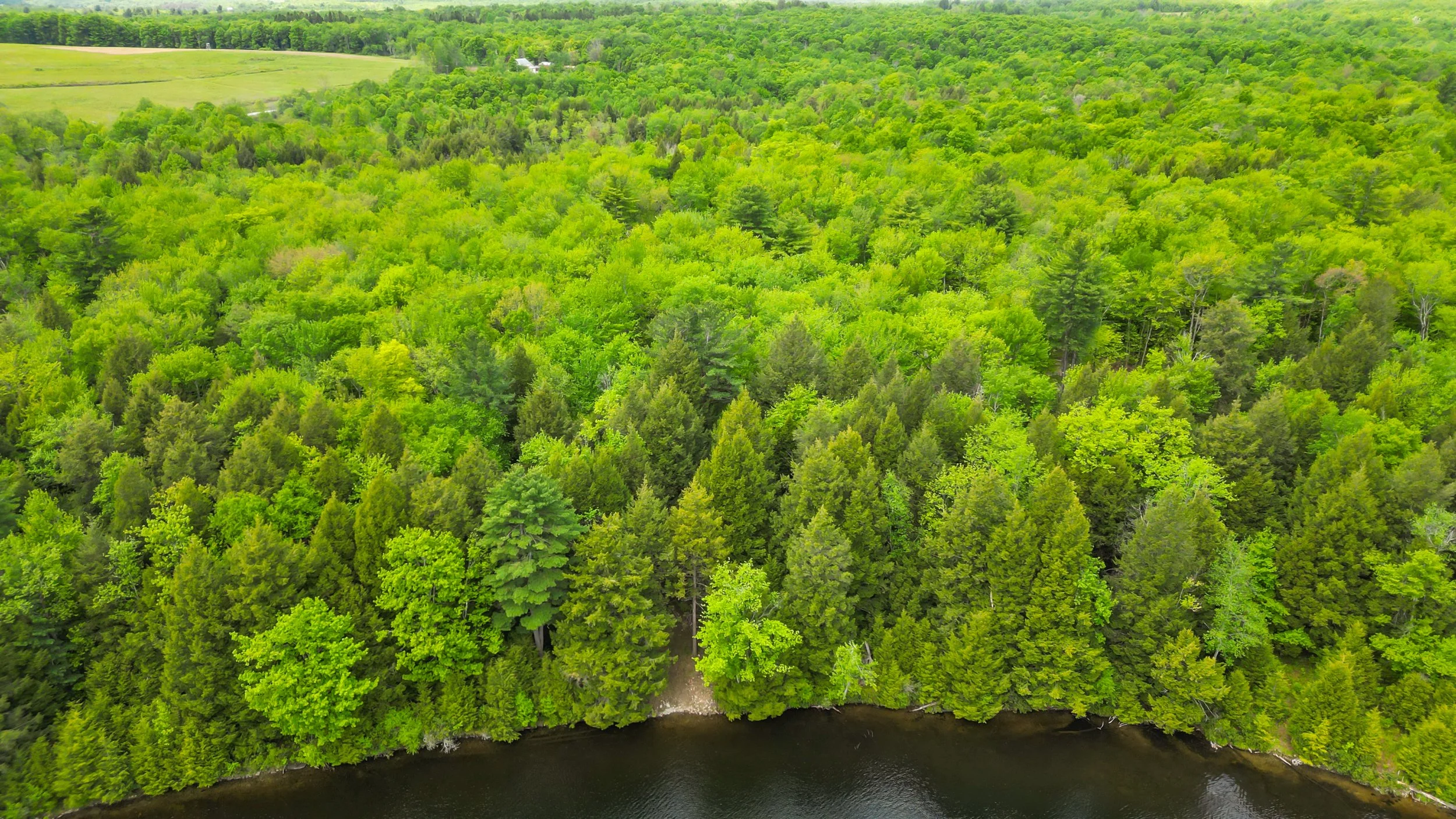 DJI_0193.jpg