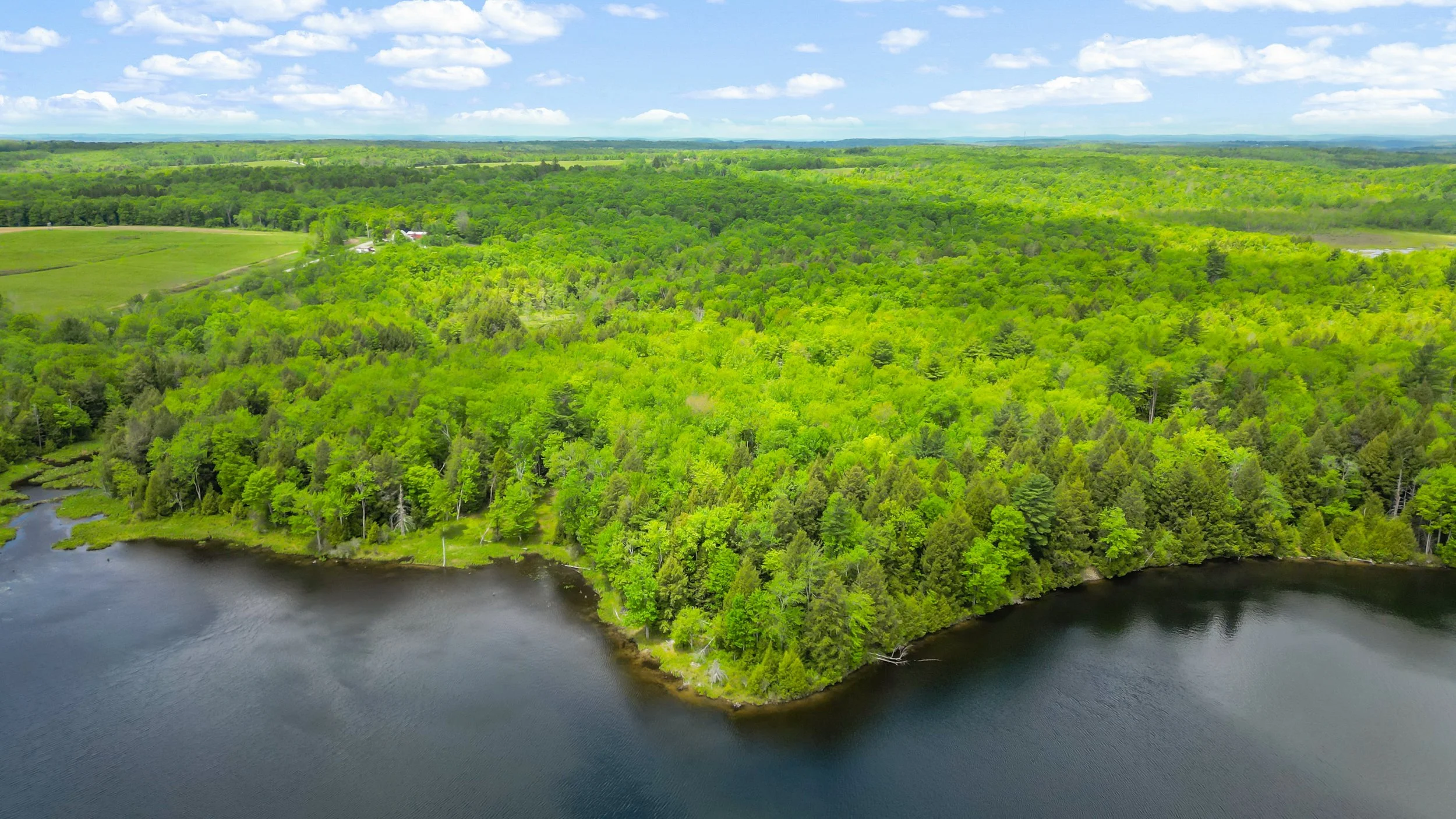 DJI_0198.jpg