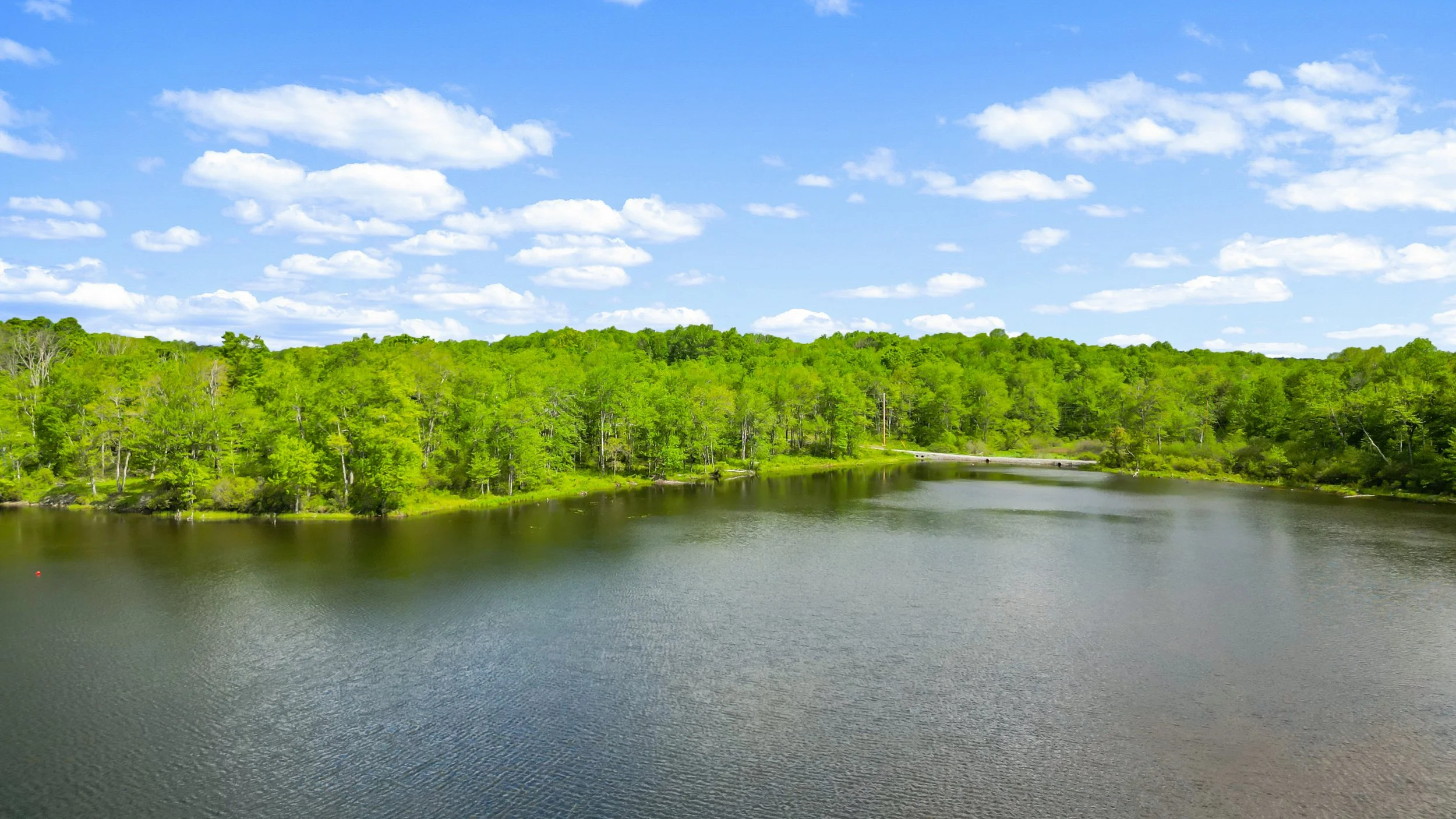 DJI_0064.jpg