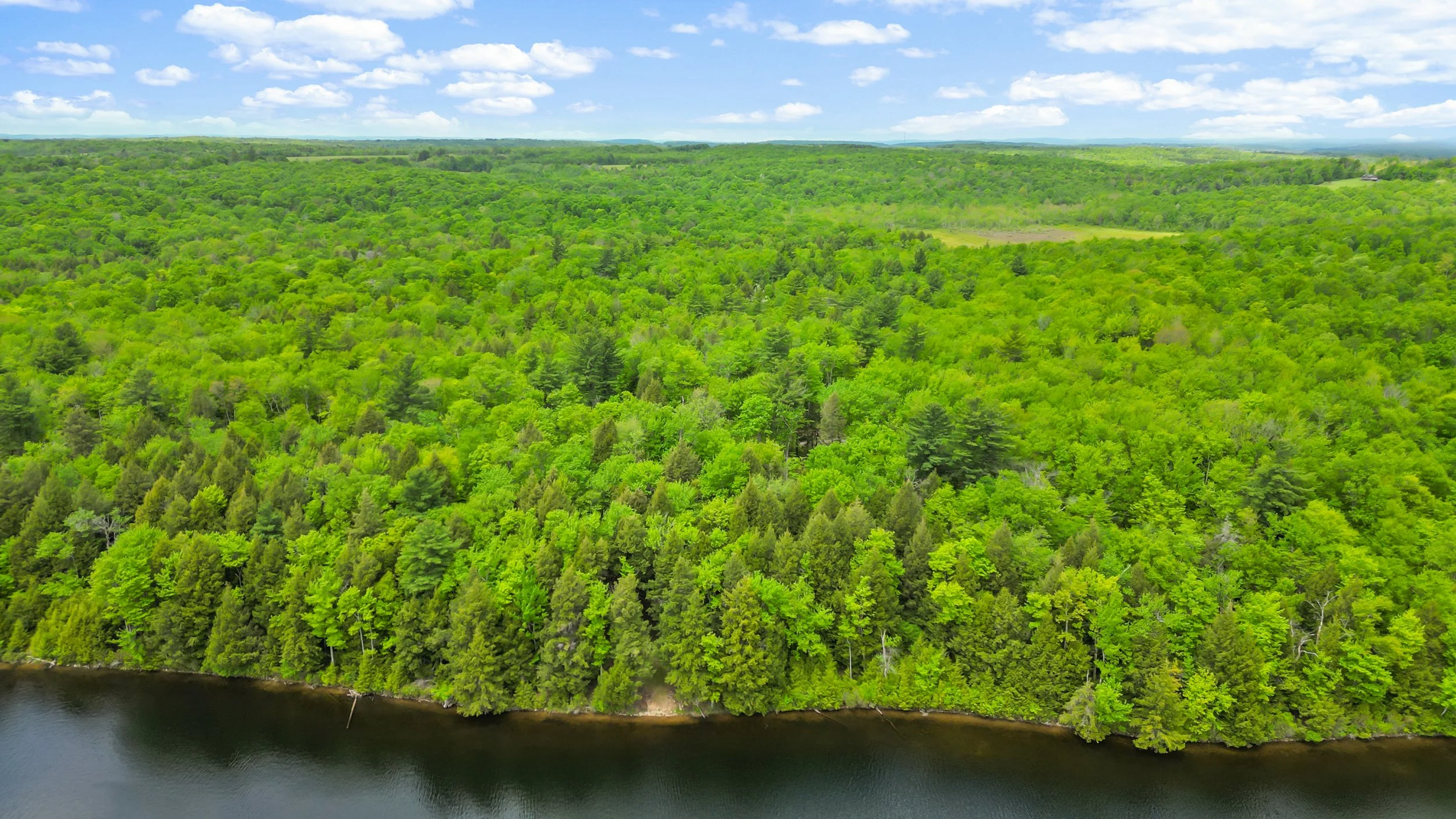 DJI_0180.jpg