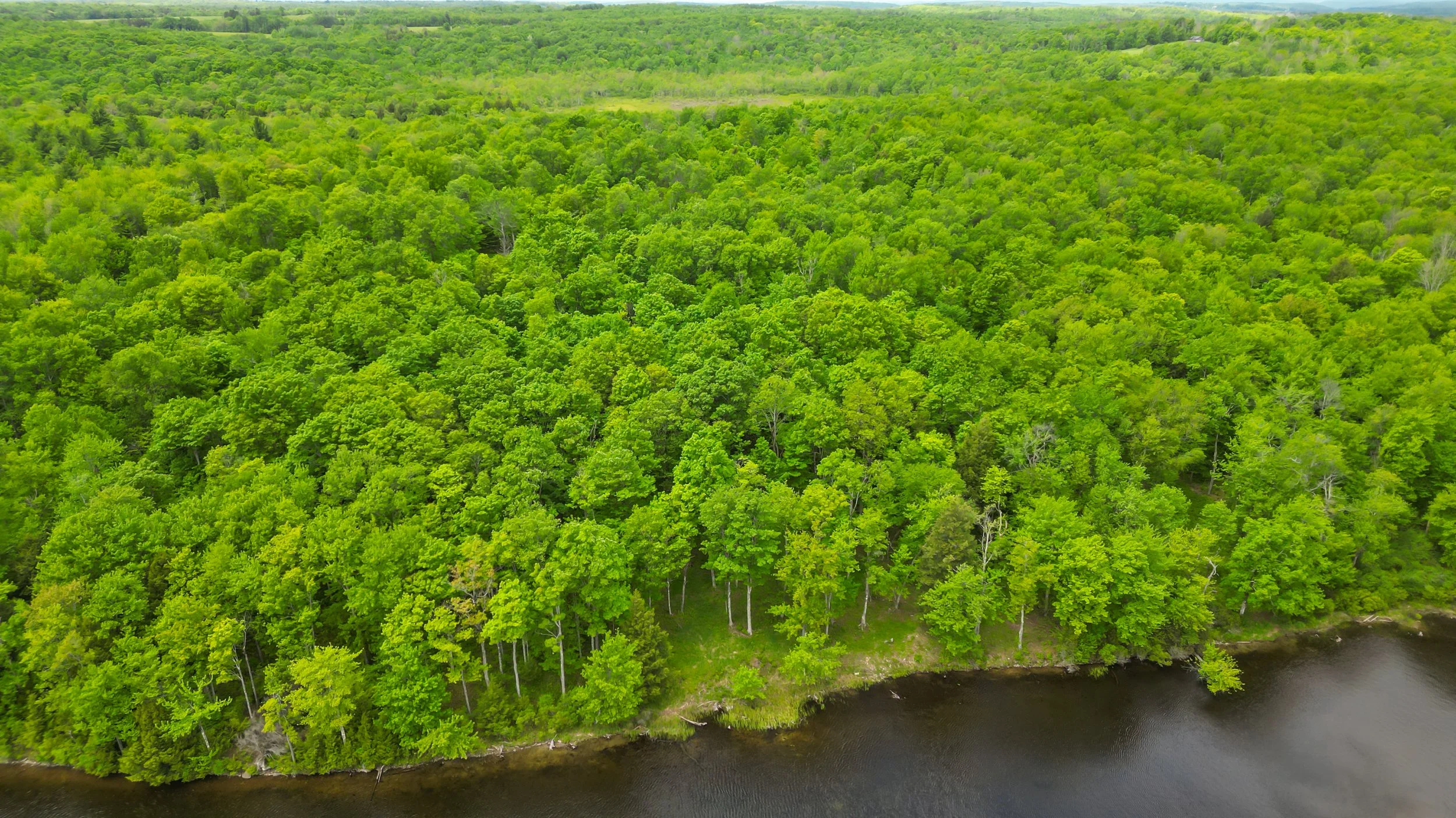 DJI_0176.jpg