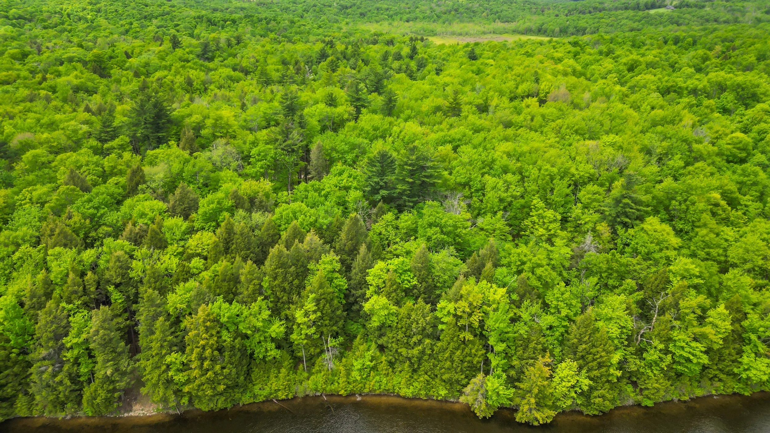 DJI_0234.jpg