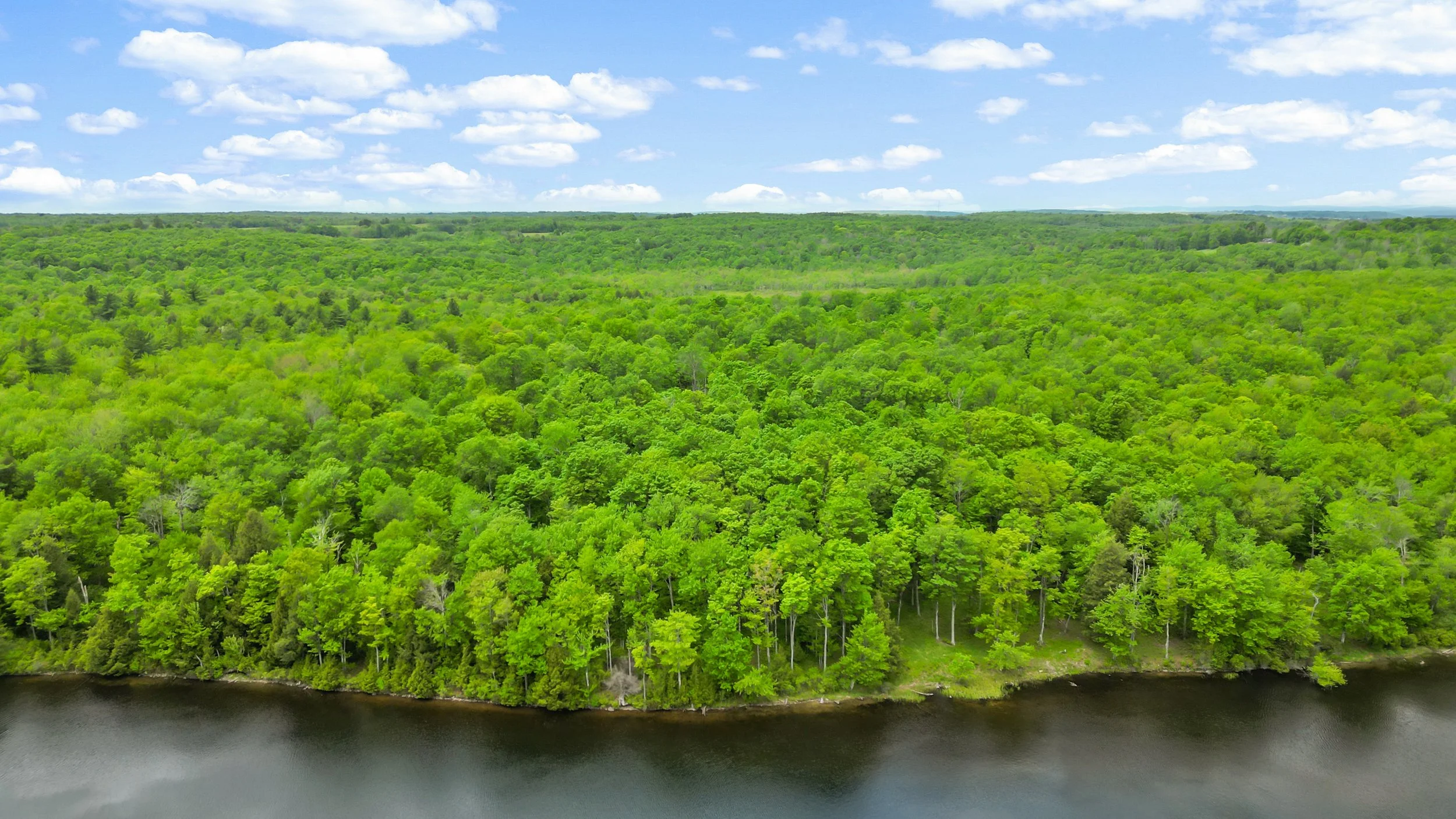 DJI_0163.jpg