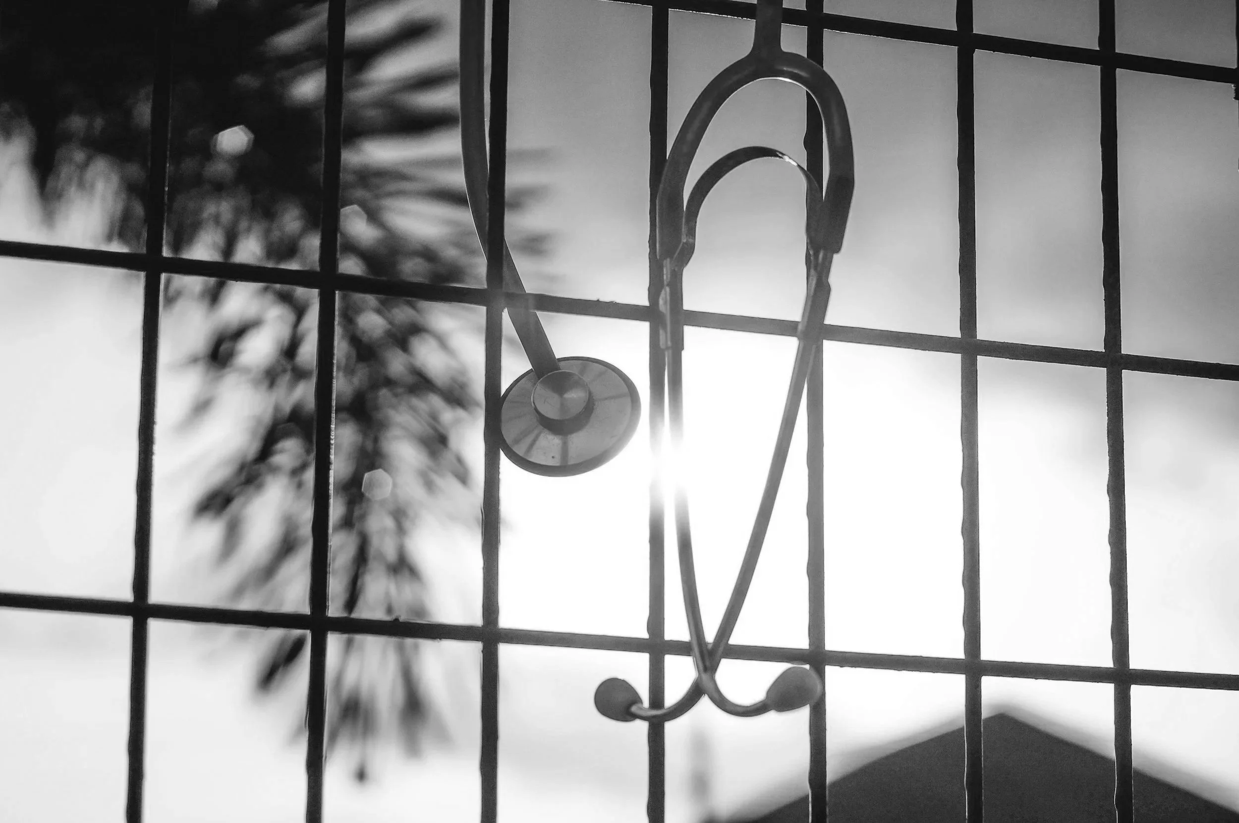 A close-up of a metal garden trellis with ornamental designs, silhouetted against the bright sky with the sun shining through, creating a backlit effect, with blurred tree branches in the background.