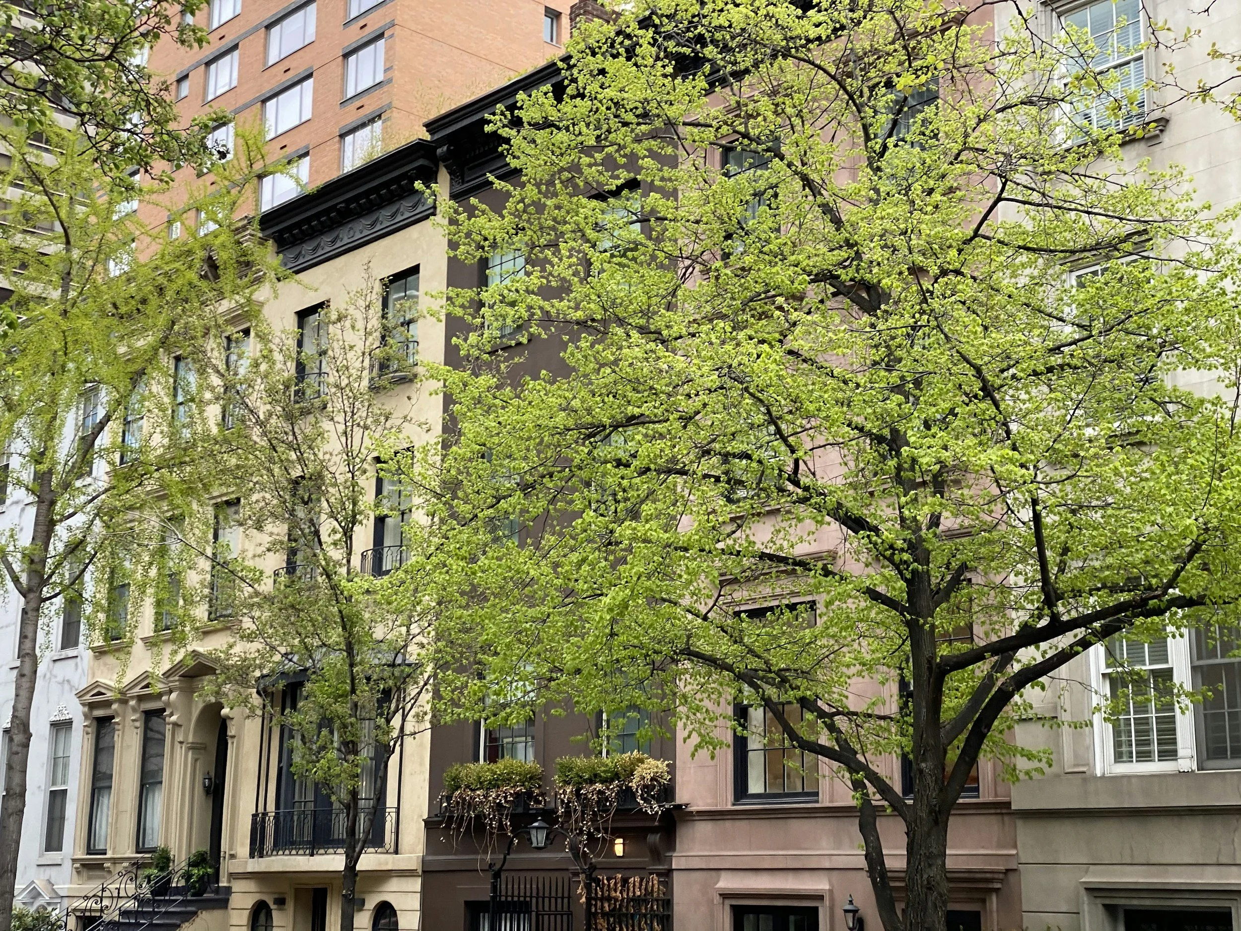 City buildings with trees and greenery in the foreground.