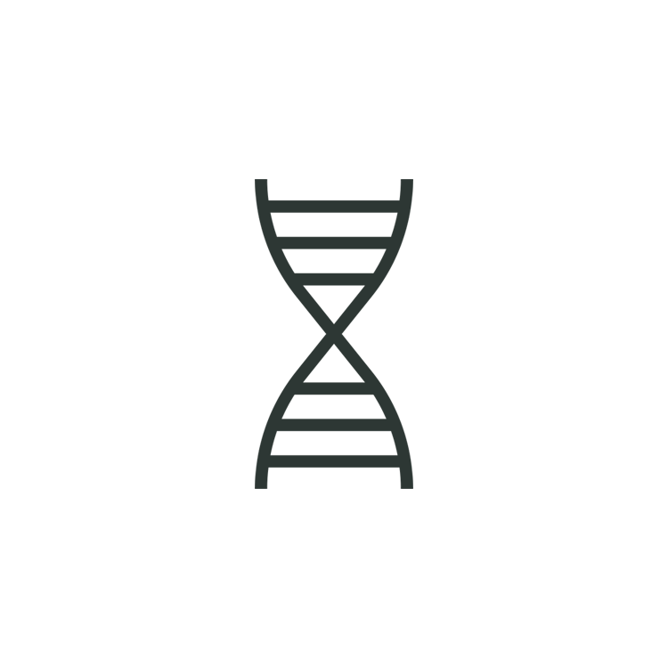 Icon of a DNA double helix structure in black on a transparent background.