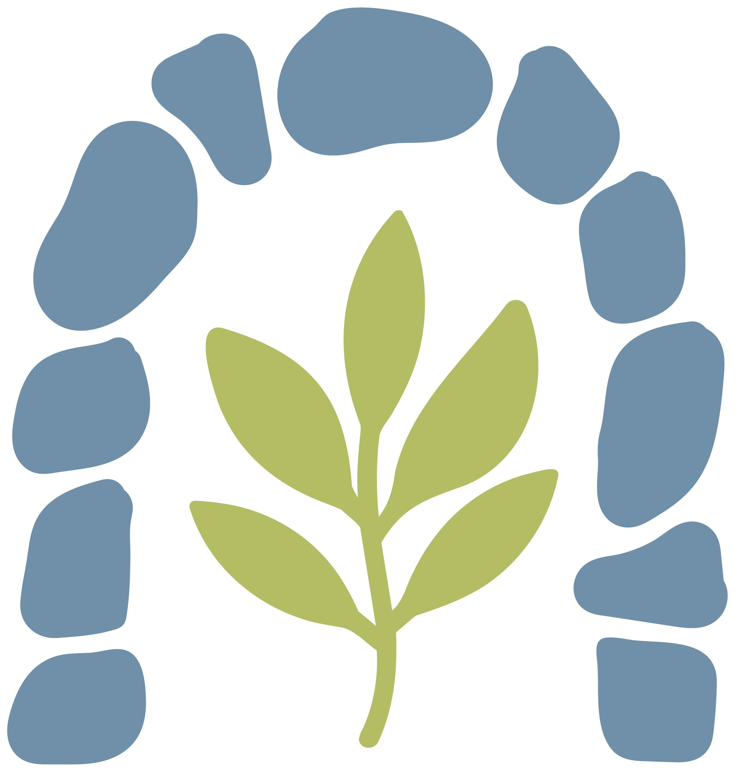 Illustration of a plant with green leaves and blue oval-shaped flowers.