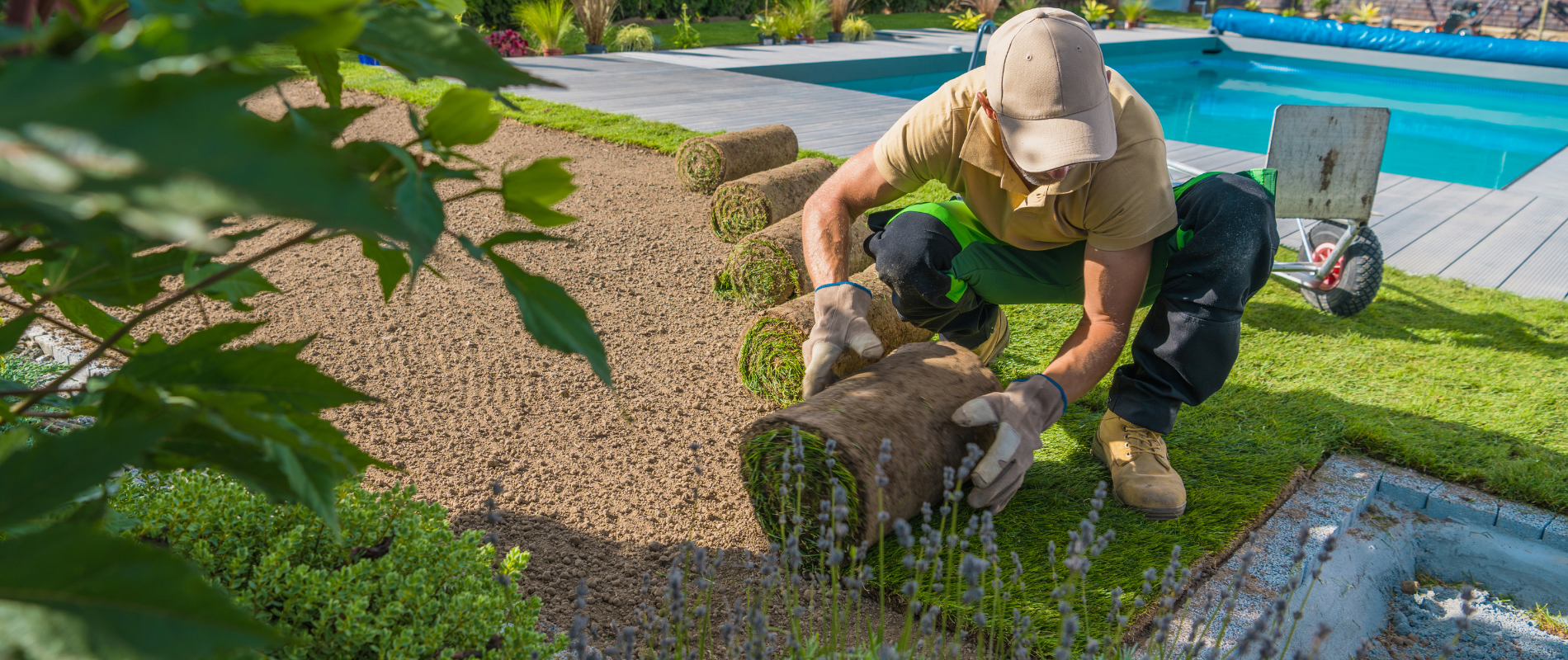 A person laying sod in a backyard with a swimming pool, using a roll of grass and wearing gloves and work clothes.