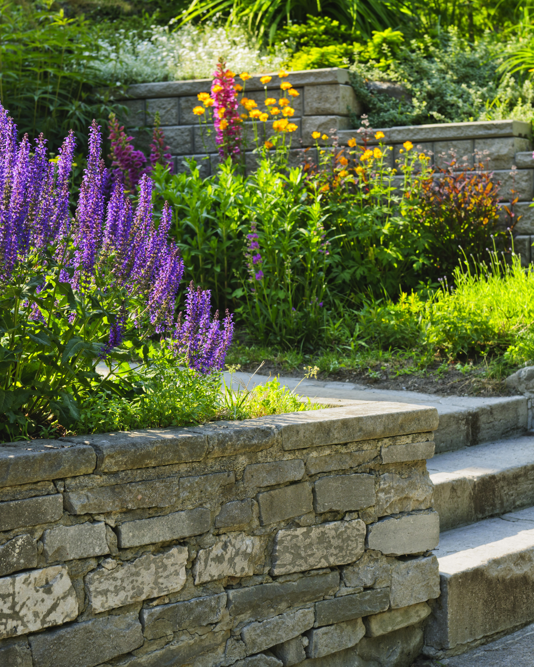 Stone garden wall with colorful flowers including purple, pink, and yellow blooms, surrounded by green foliage and steps leading up to a higher garden level.
