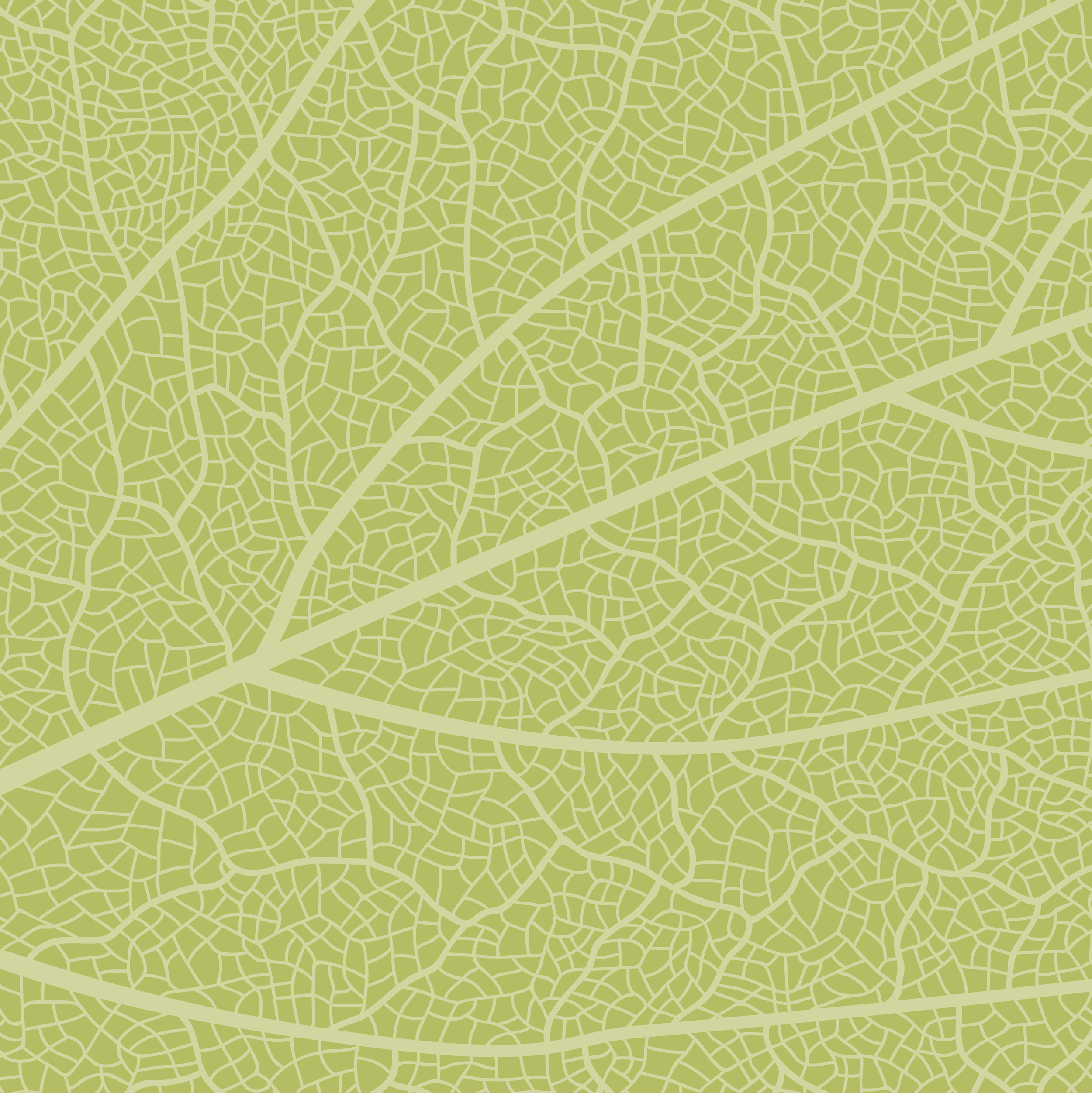 Close-up of a detailed green leaf with visible veins and intricate network of smaller veins.
