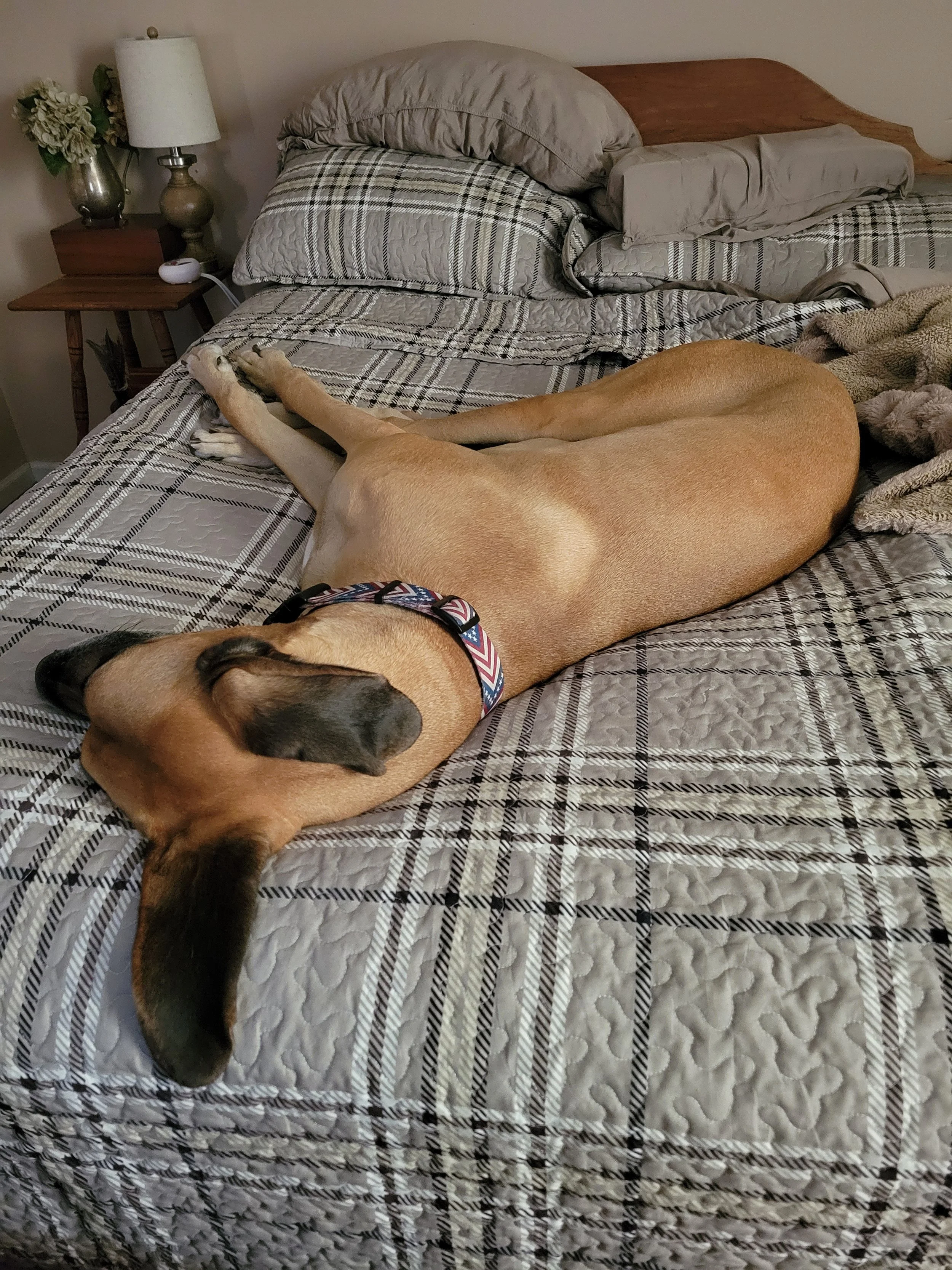 20260920_180803.jpg