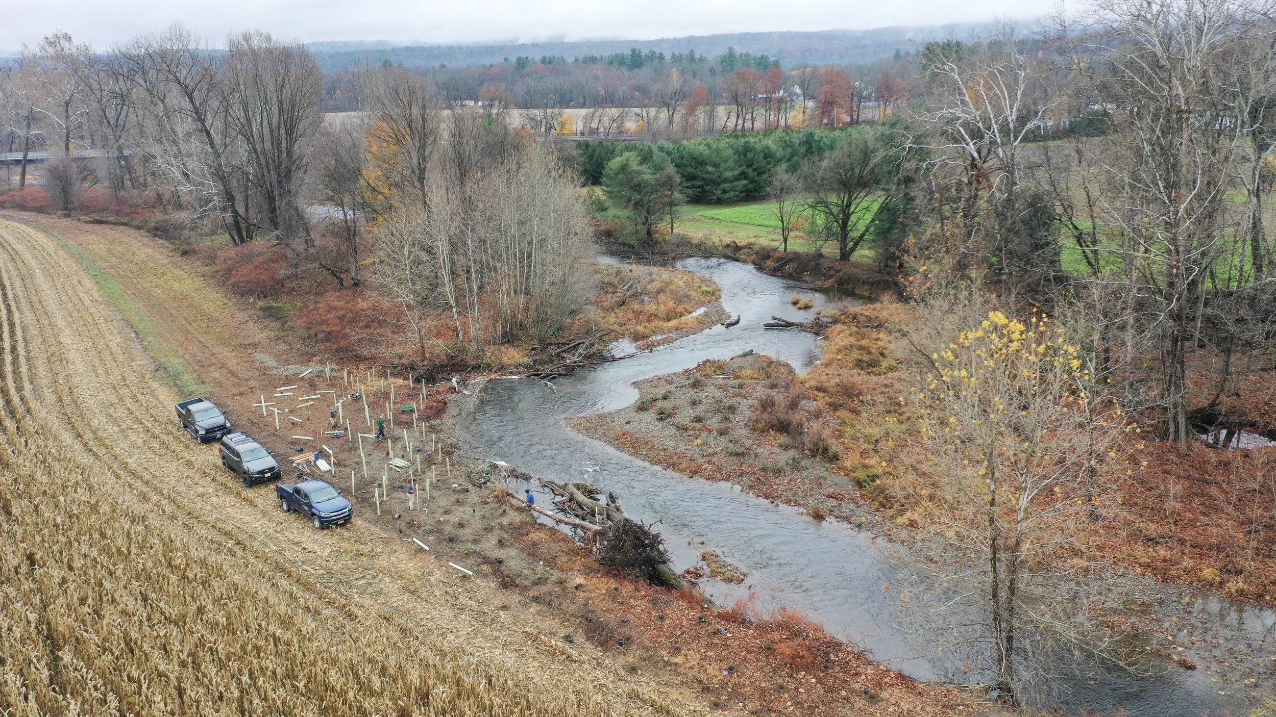 The New York DEC along with the Orange County Land Trust planting trees to prevent erosion along the Rochester Creek in Accord, New York