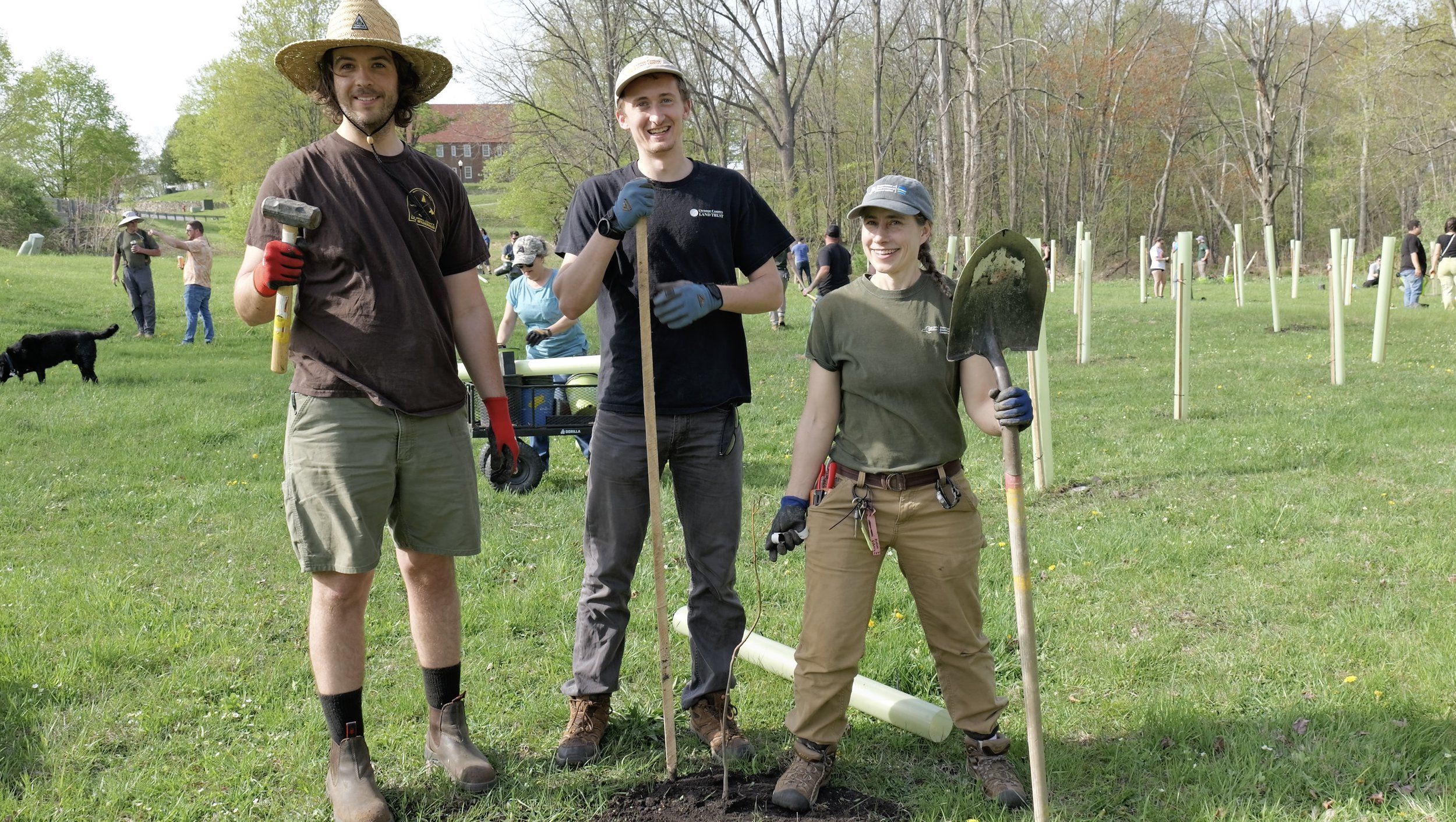 Three people smiling and holding tools in a grassy park with trees and other volunteers planting trees or plants in the background.