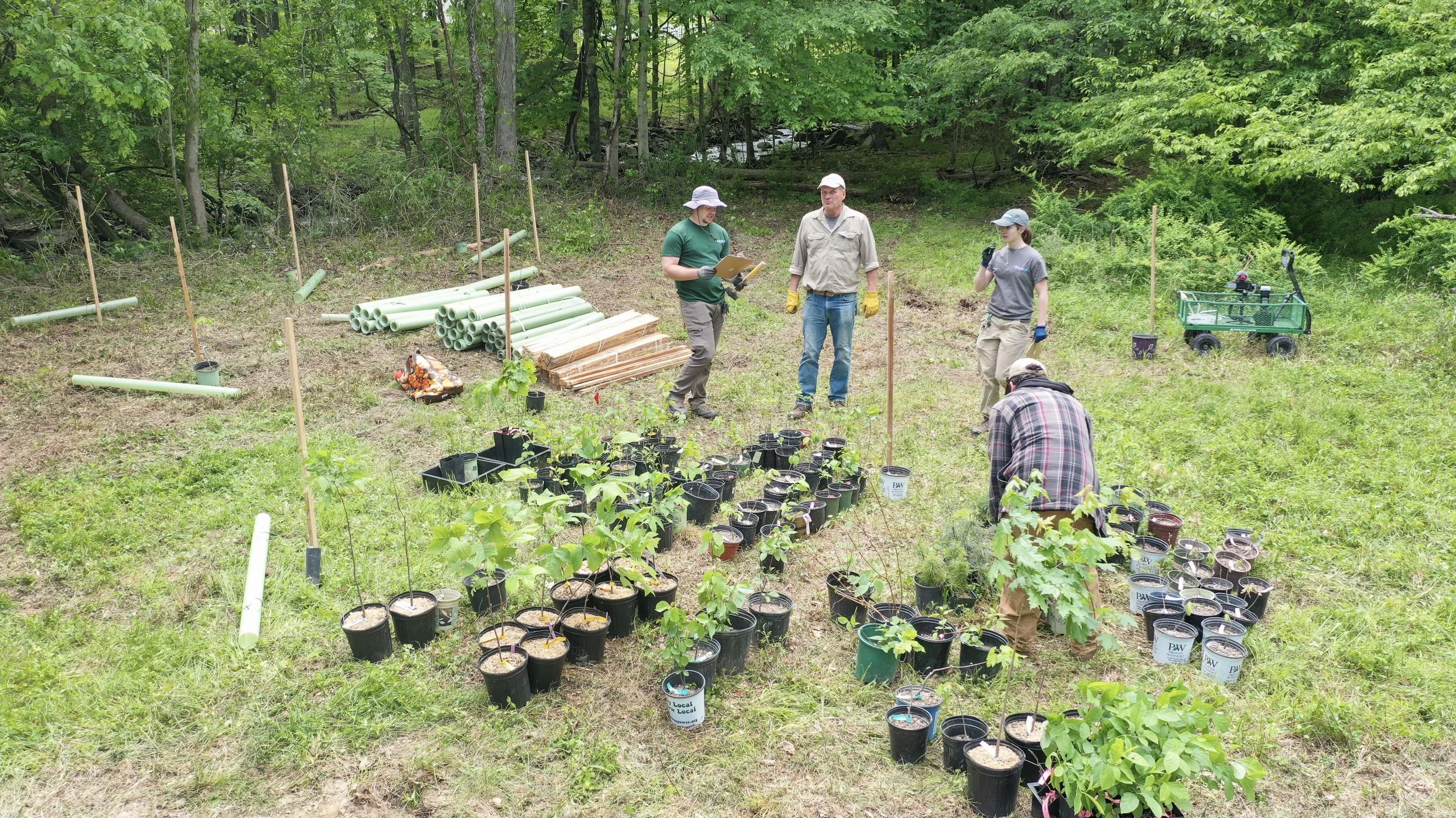 People planting young trees in a forested area, with potted plants, pipes, and gardening tools around.