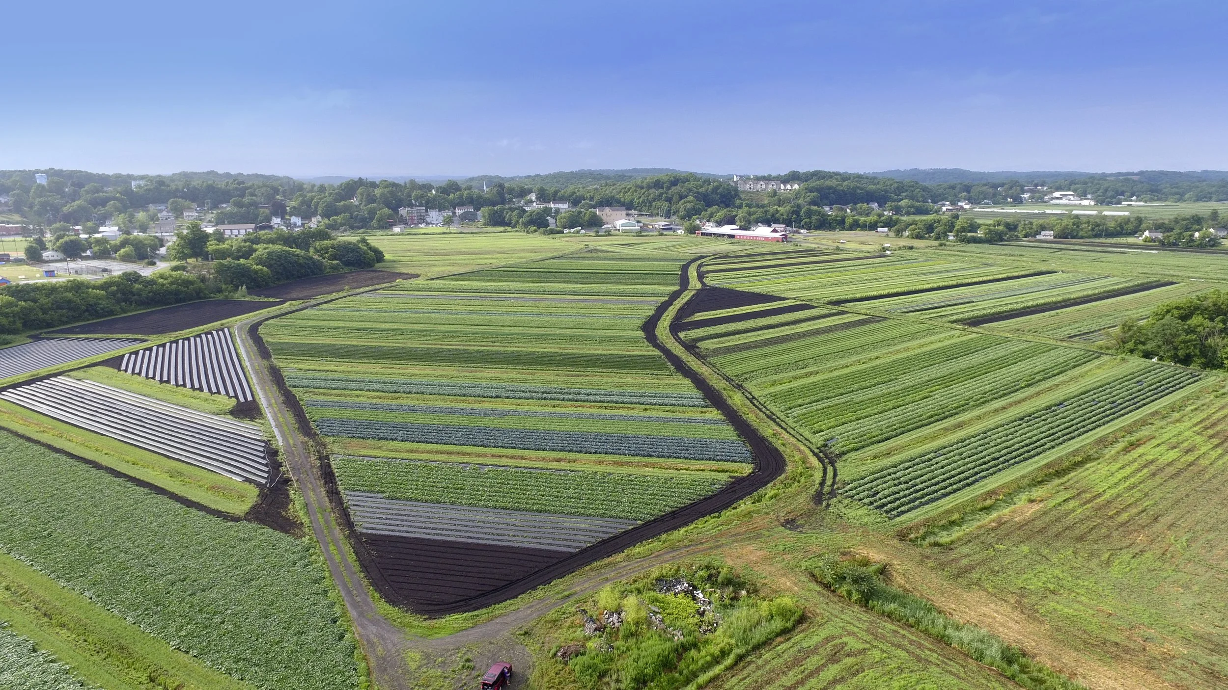 Sunsprout Organic Farm, Chester New York
