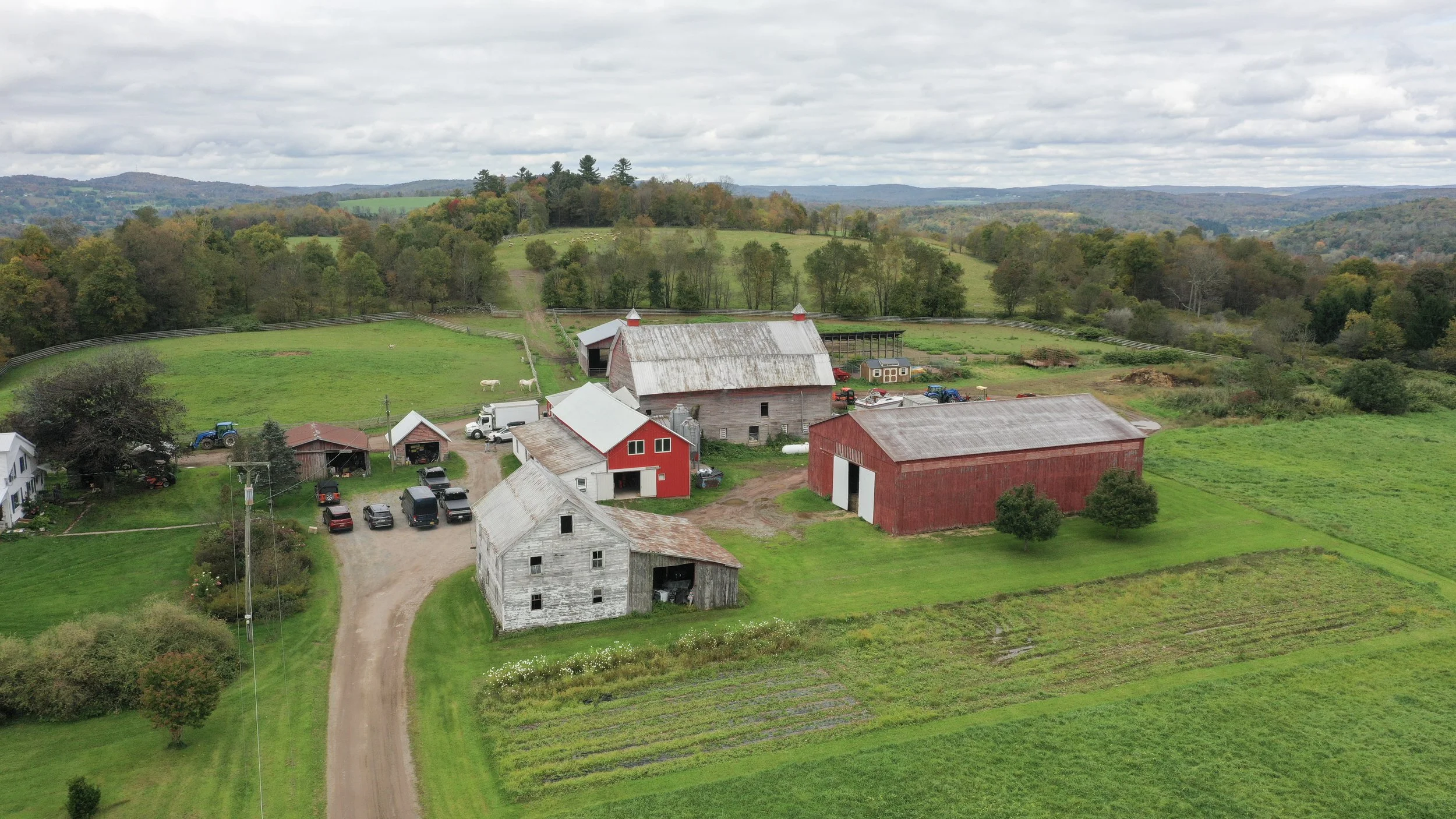 Aerial view of a farm with multiple barns, silos, a white house, a gravel driveway with parked cars, farm animals, and rolling green fields surrounded by trees and distant hills.