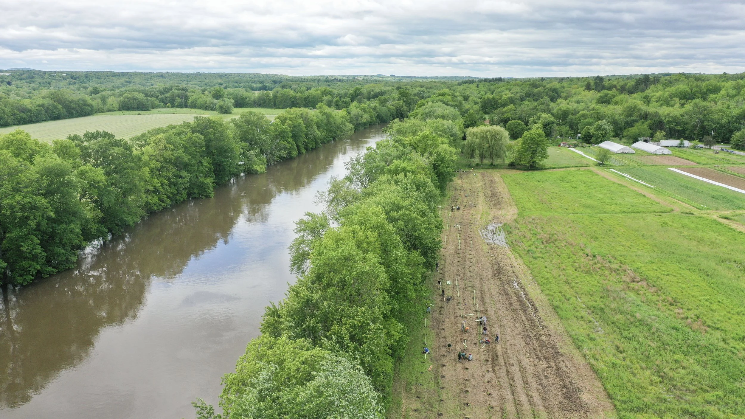 Aerial view of a river running through lush green trees and farmland, with cloudy sky overhead.