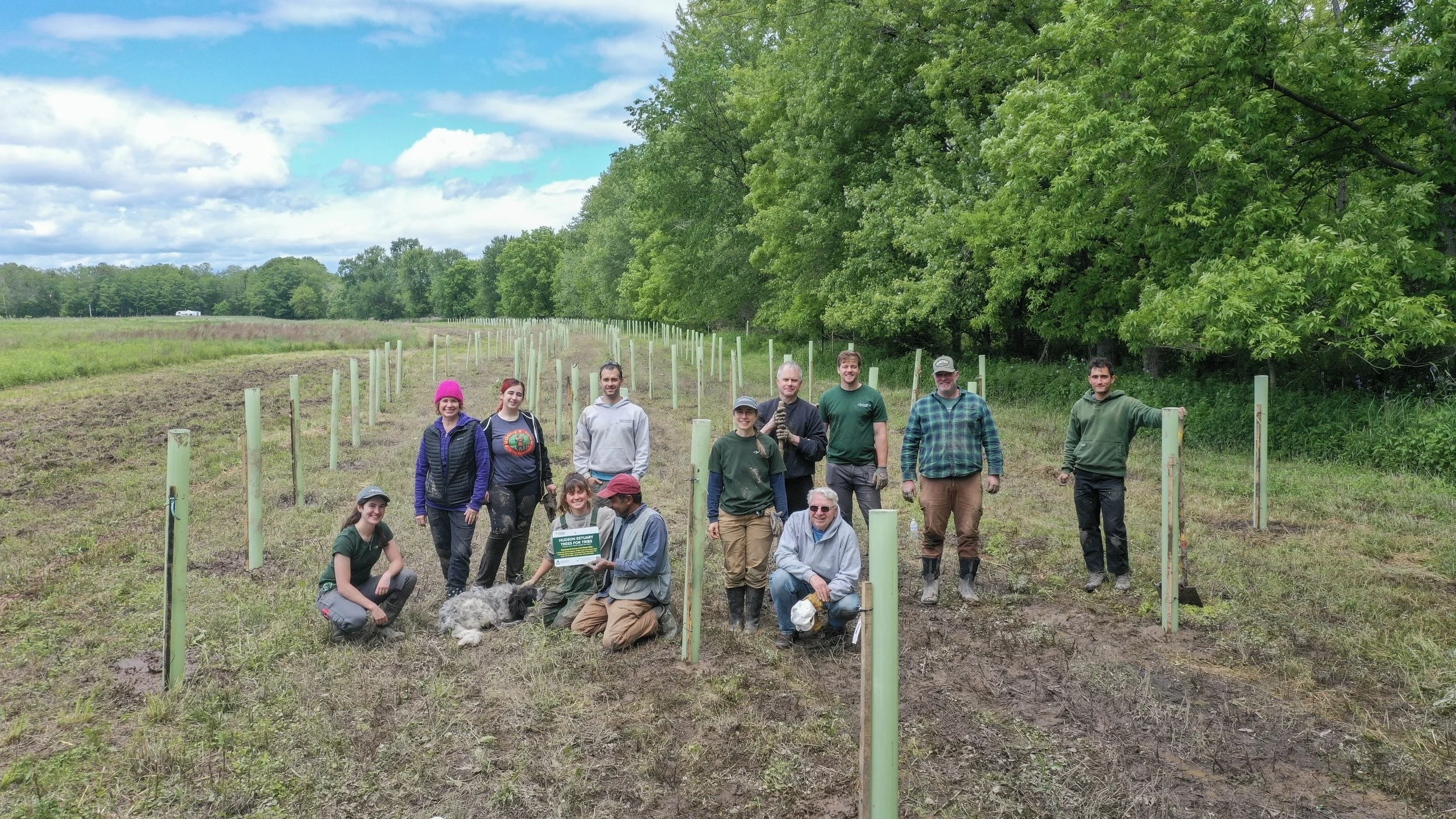 Conuco farm New Paltz, Wallkill river tree planting to prevent erosion