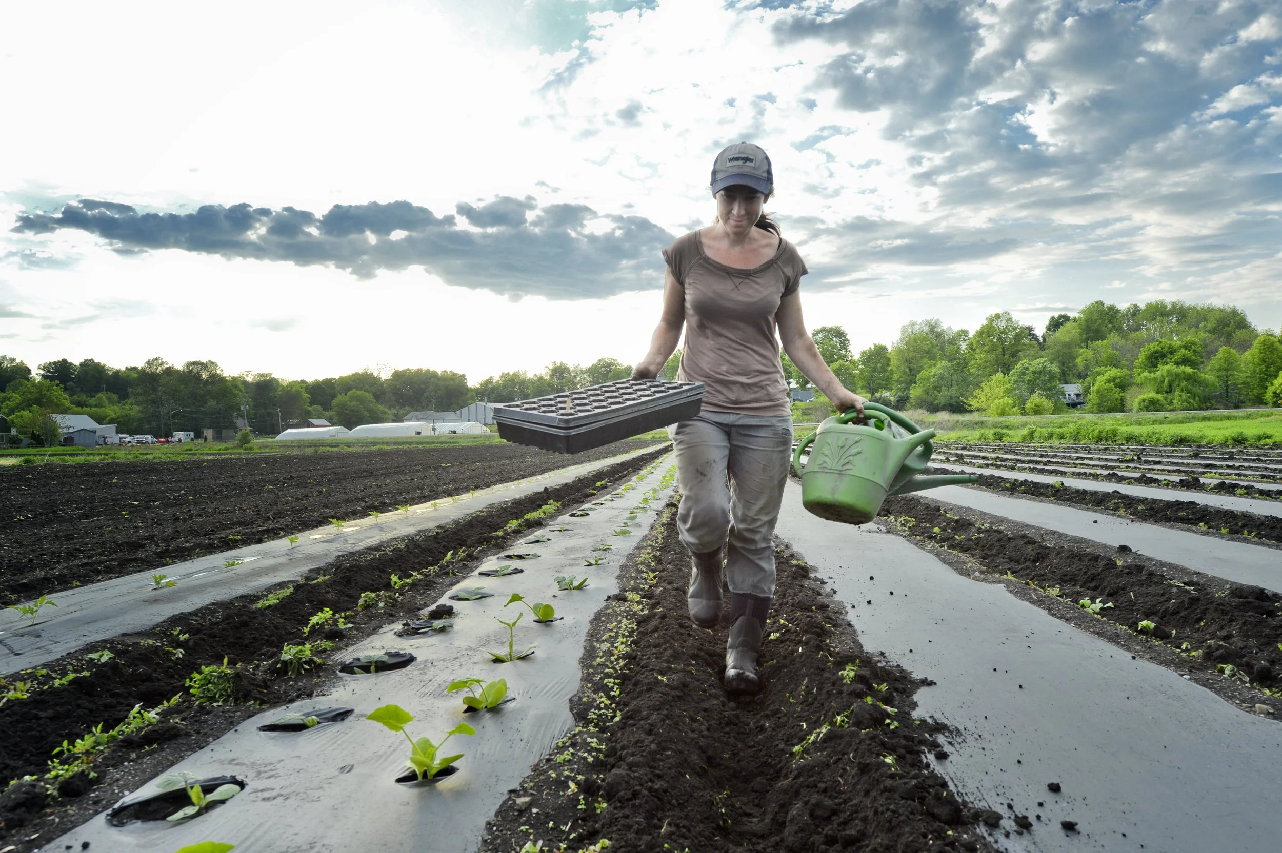 Planting at the Chester Agricultural Center