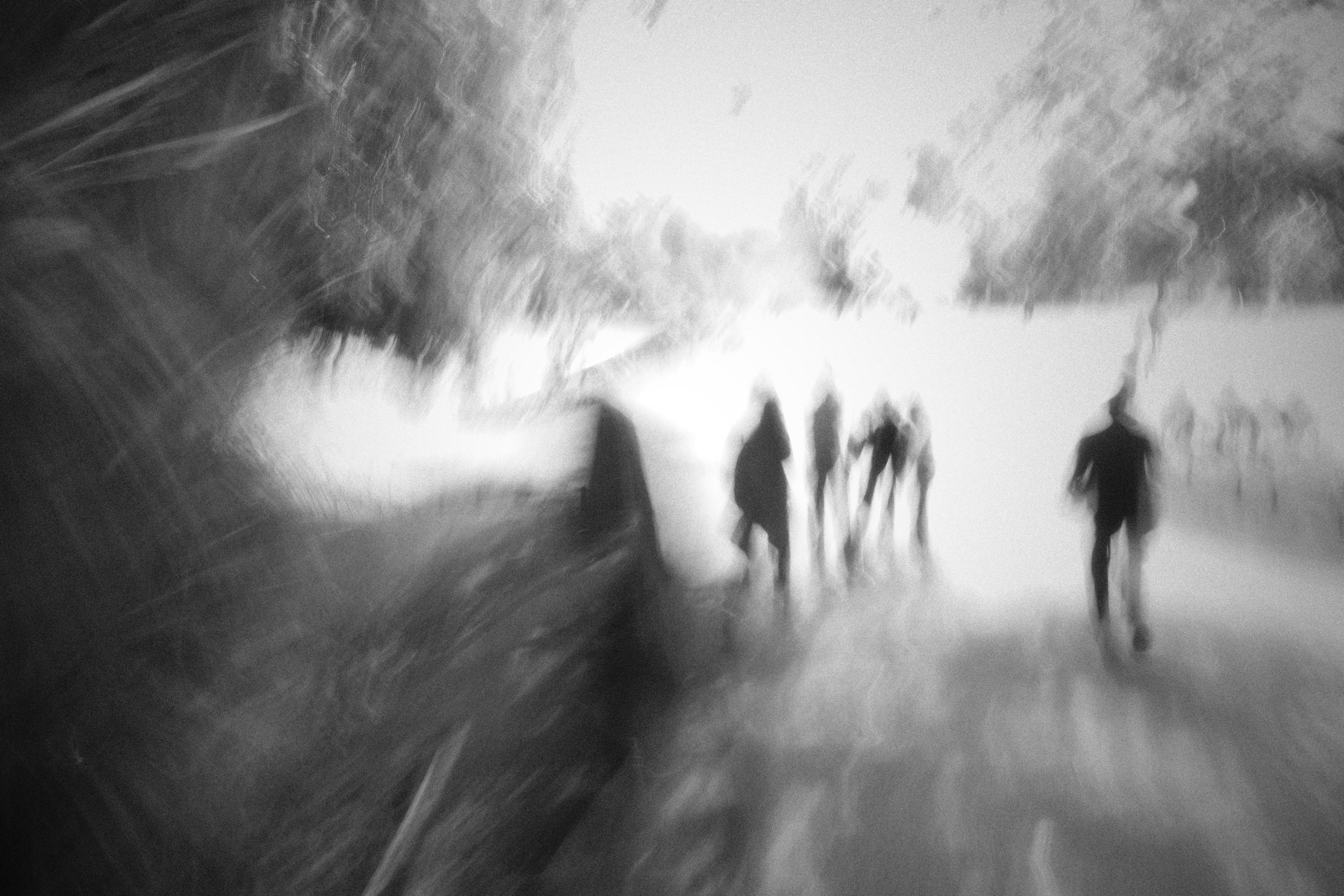 R0003250.JPG