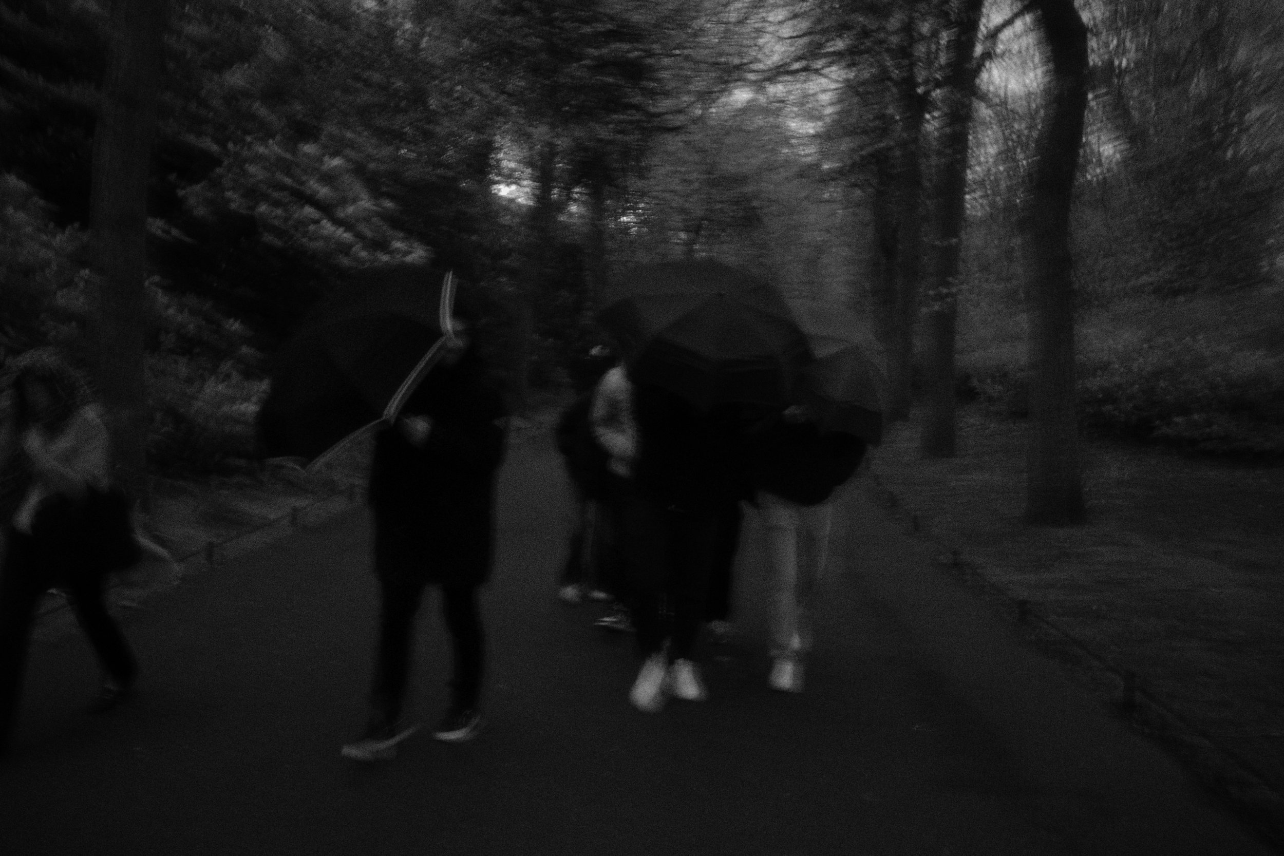 R0002360.JPG