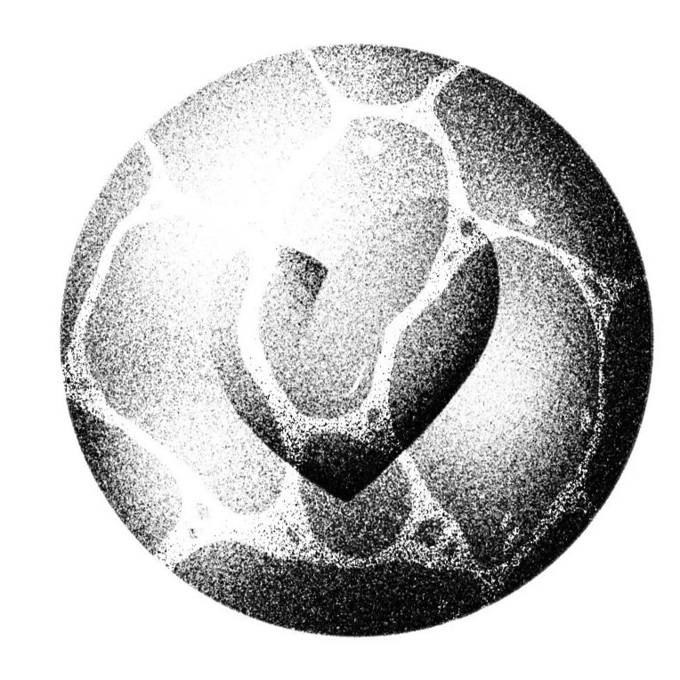 Photo en noir et blanc d'un agrégat de grains ou de cellules arrondies, formant une structure complexe.