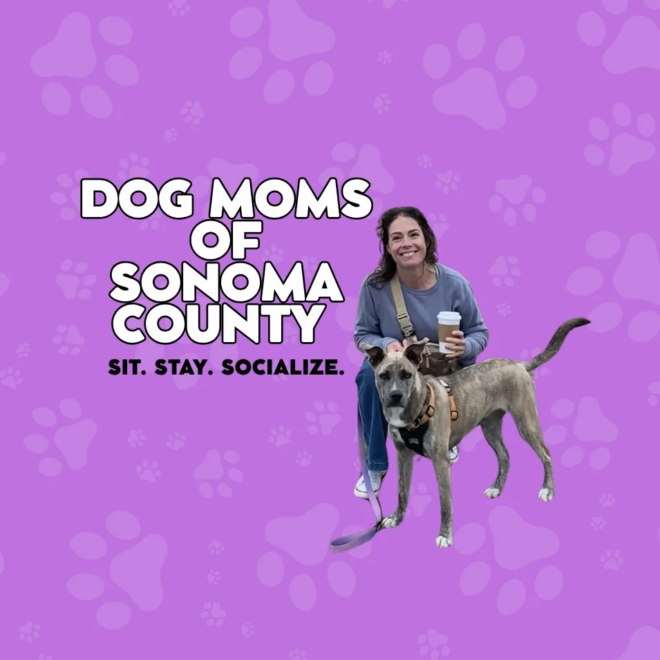 the words dog moms of sonoma county to the right of a woman in a purple shirt & jeans with her dog smiling & posing with a cup of coffee in her hand