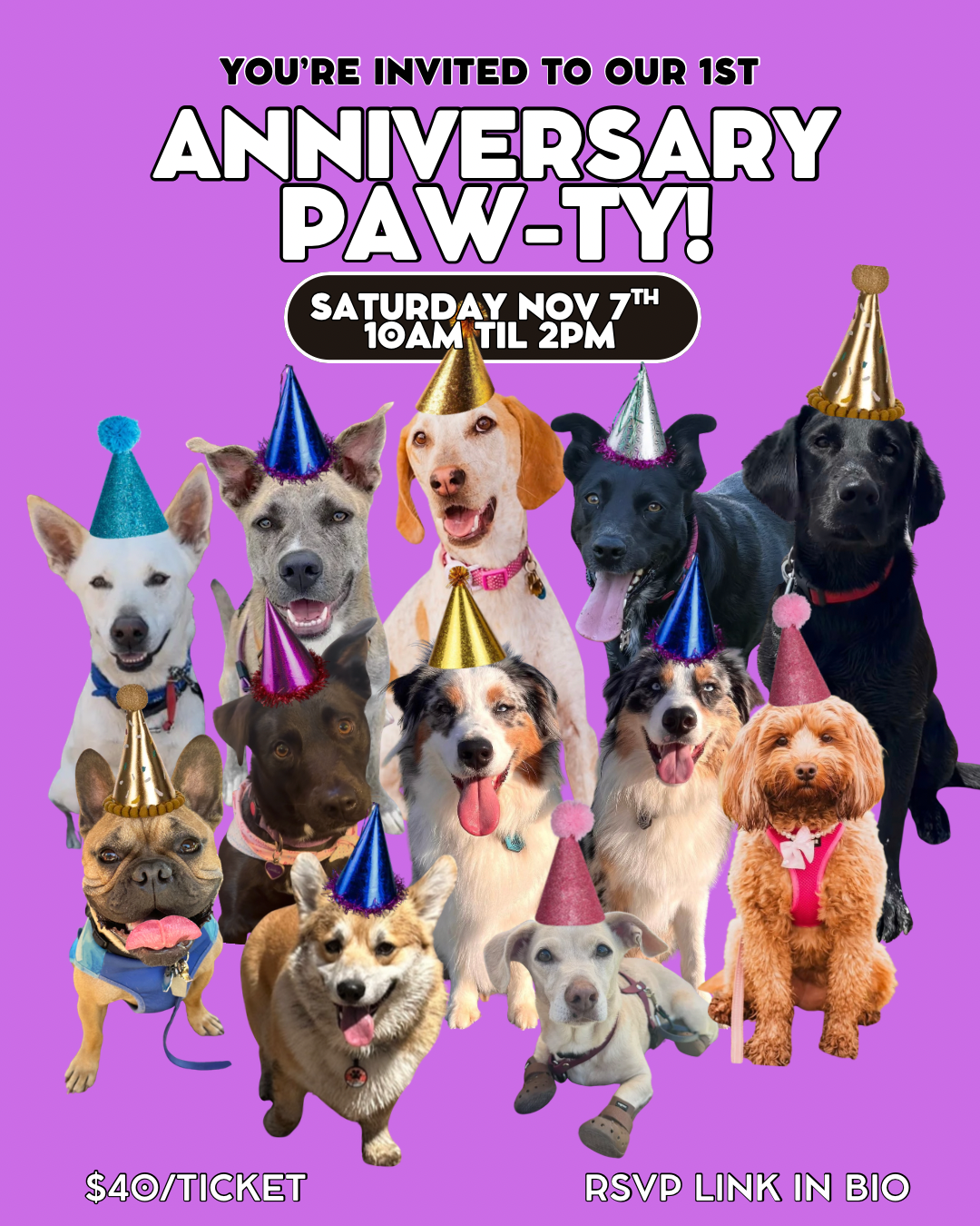 Anniversary Paw-ty!