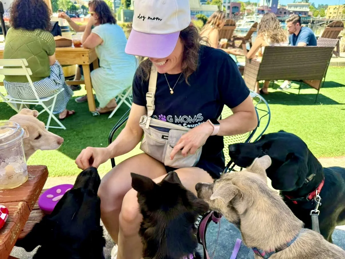 A woman wearing a purple hat & black shirt offers treats to several dogs of different breeds and sizes with people sitting at a table in the background
