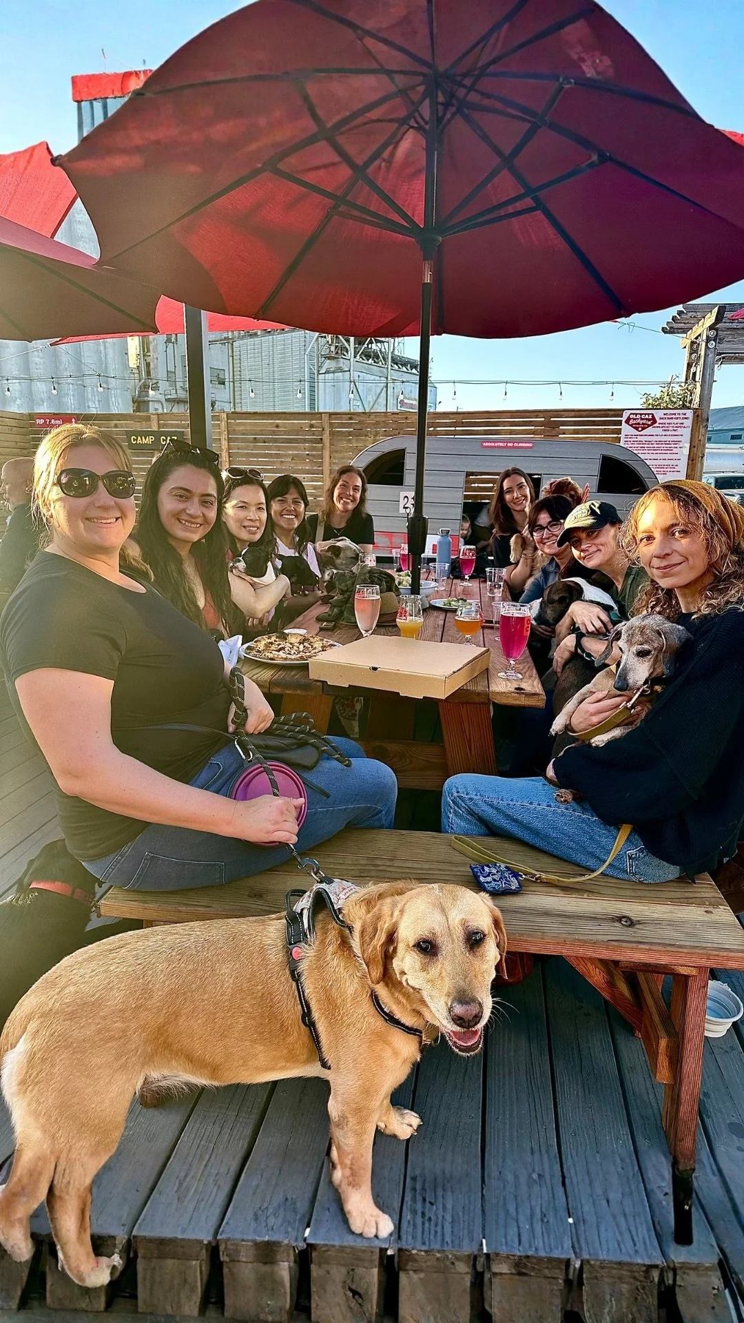 A group of women smiling, sitting at a table under a red umbrella having drinks & pizza with a group of dogs surrounding them