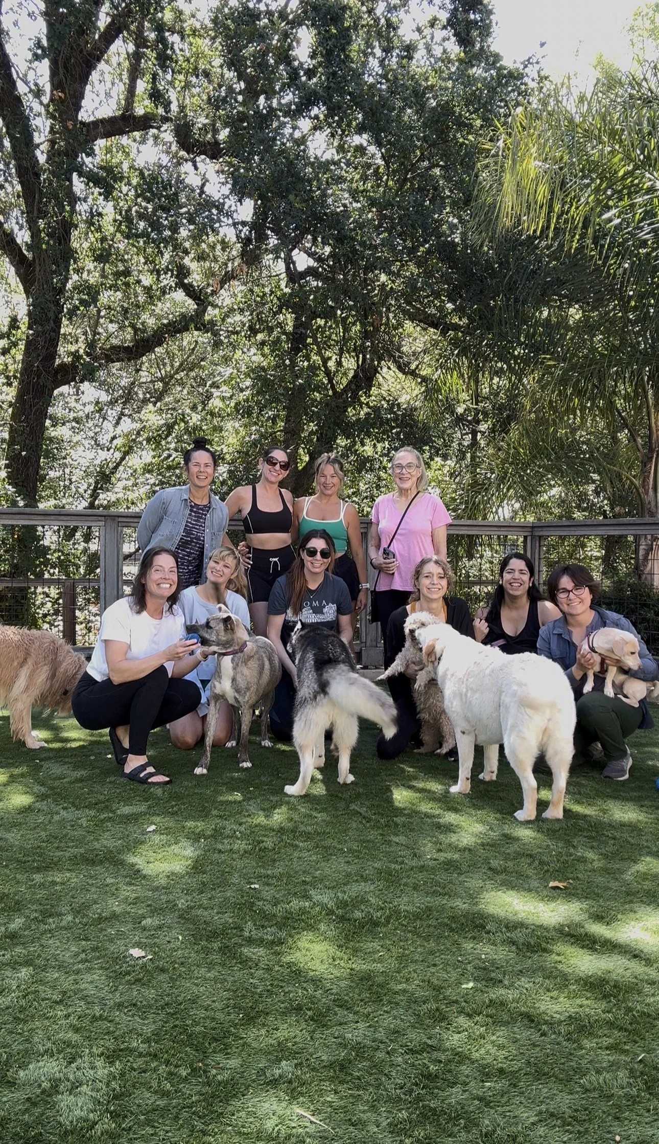 A group of women posing outdoors beneath a large leafy tree, smiling at a dog-themed event with several dogs gathered around them