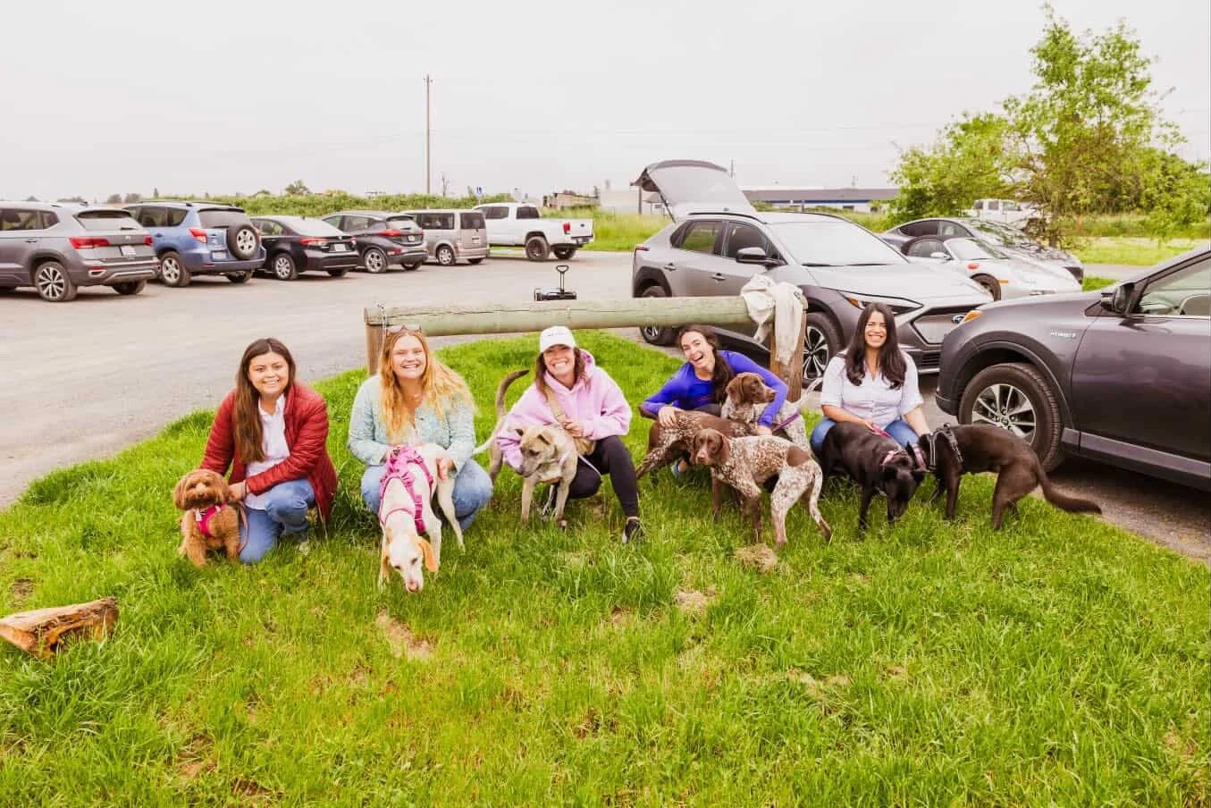 A group of five women sitting on a grassy area with several dogs of different breeds and sizes during an outdoor dog mom meetup with parked cars in the background
