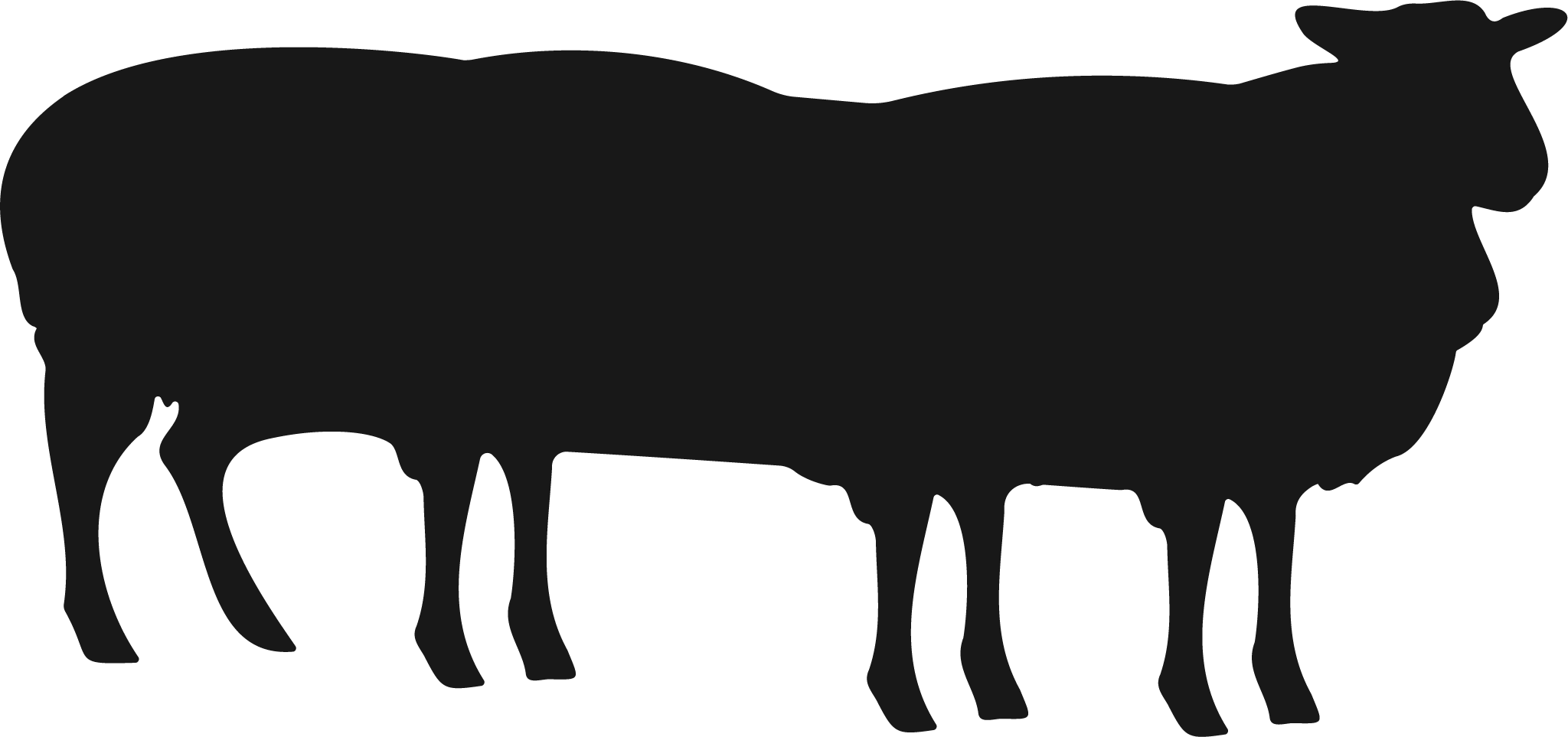 Silhouette of three overlapping sheep in a row.