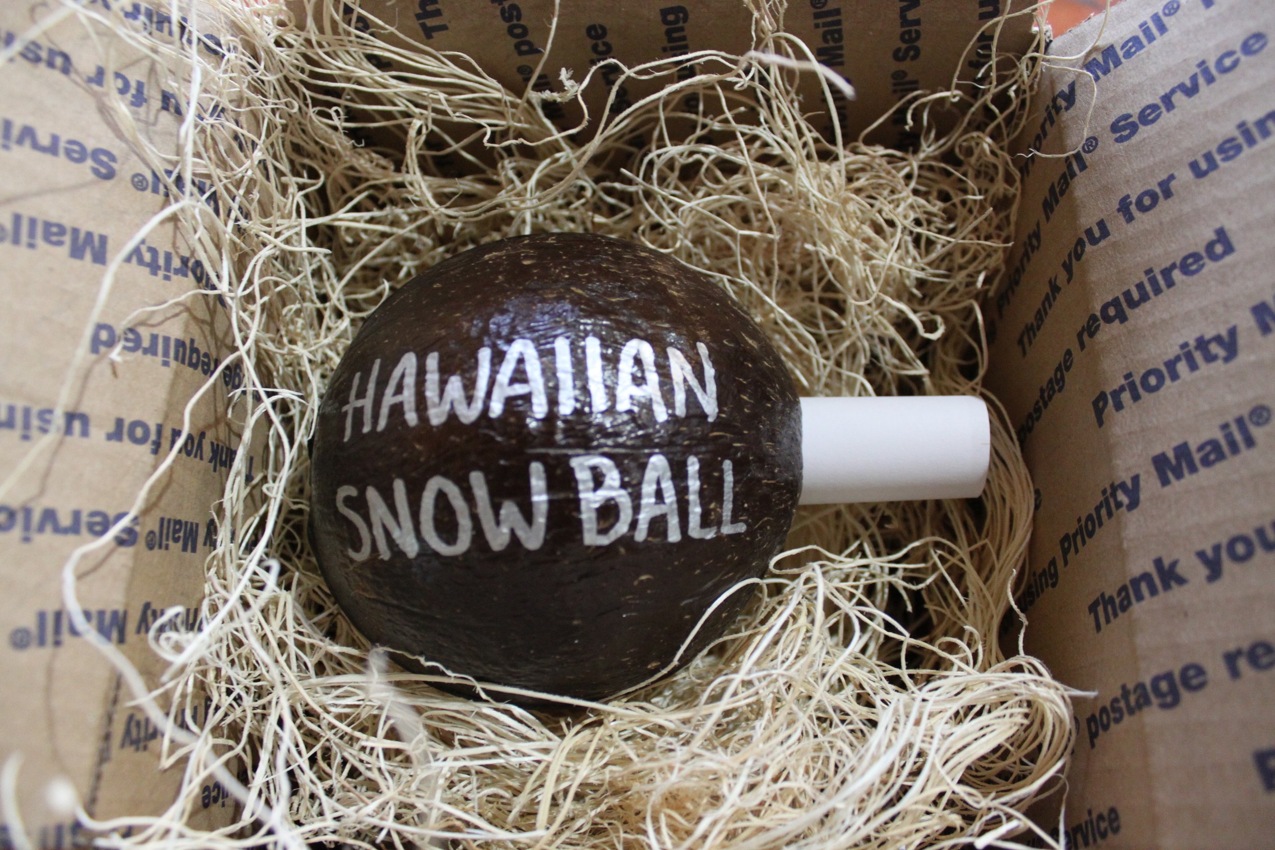 Hawaiian Snowball Painted Coconut