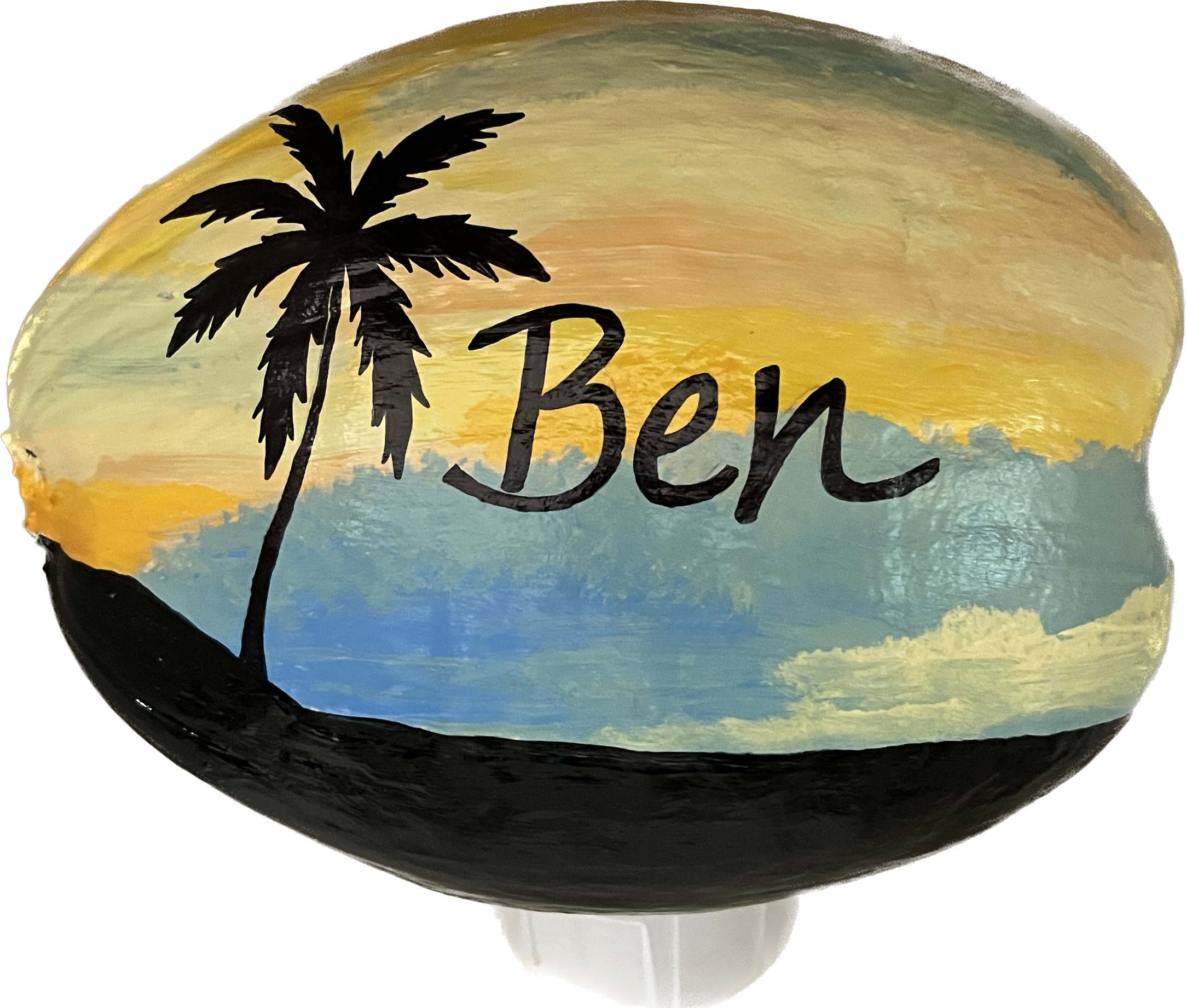 Painted Whole Coconut