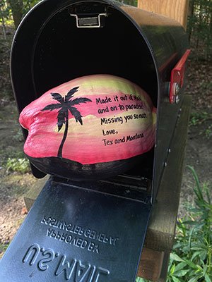 Painted Whole Coconut NO BOX