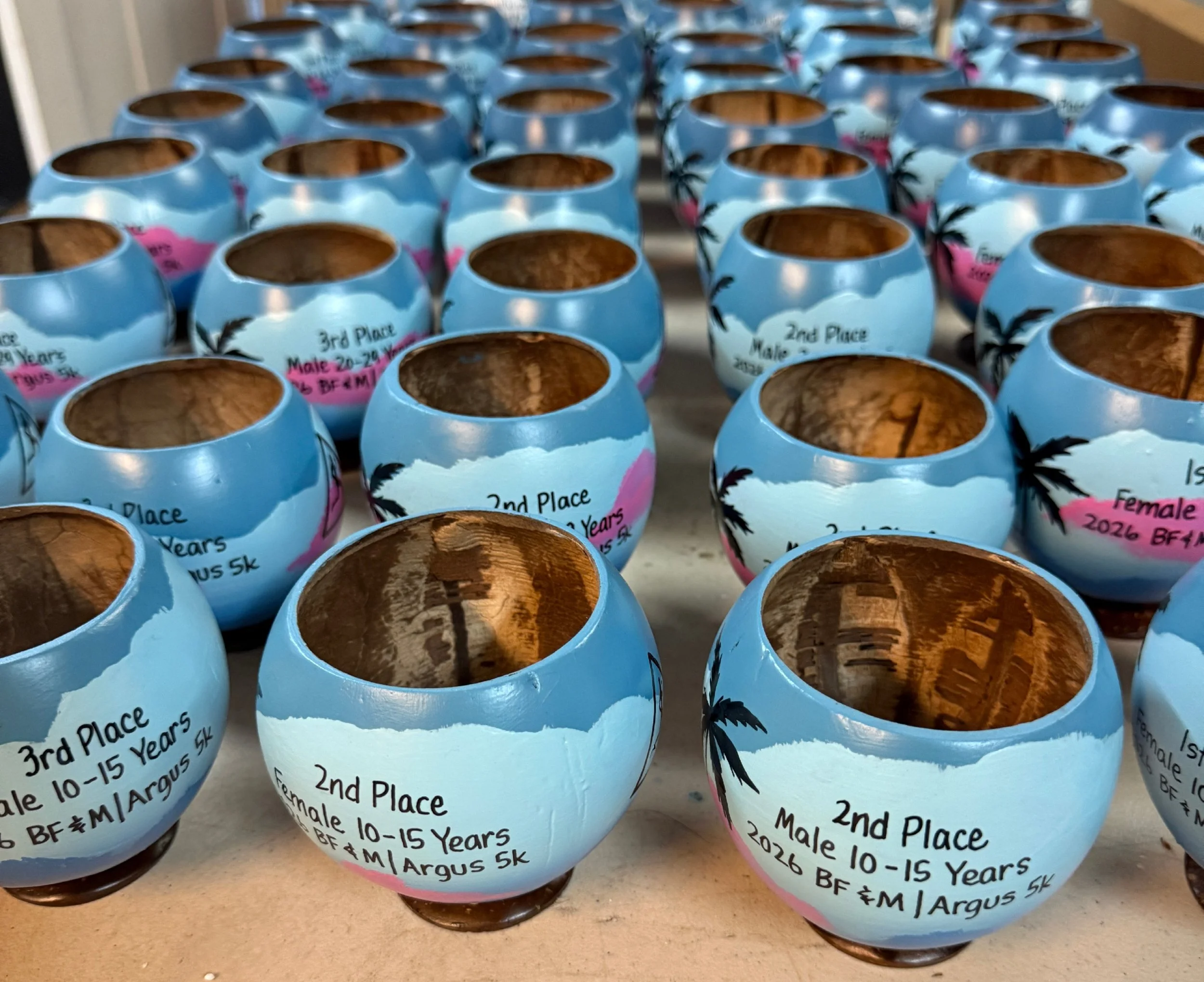 eco friendly awards painted coconut cup awards