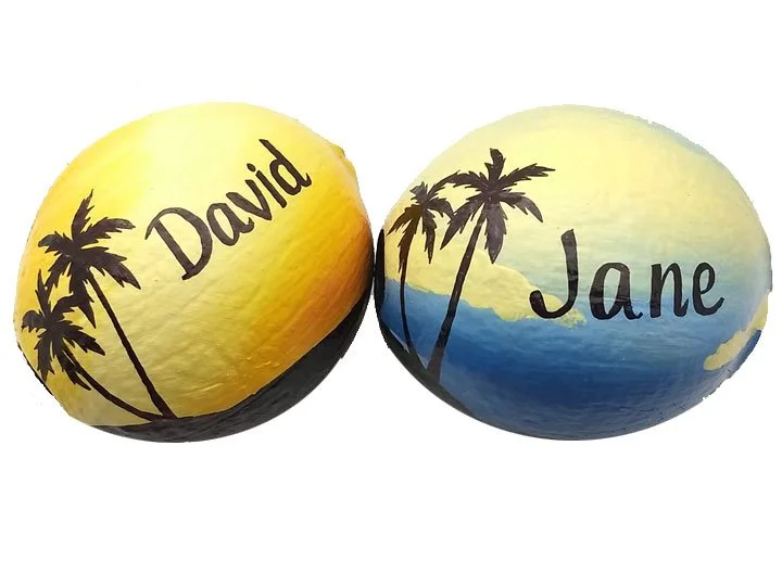 Clearance Custom Painted Coconuts