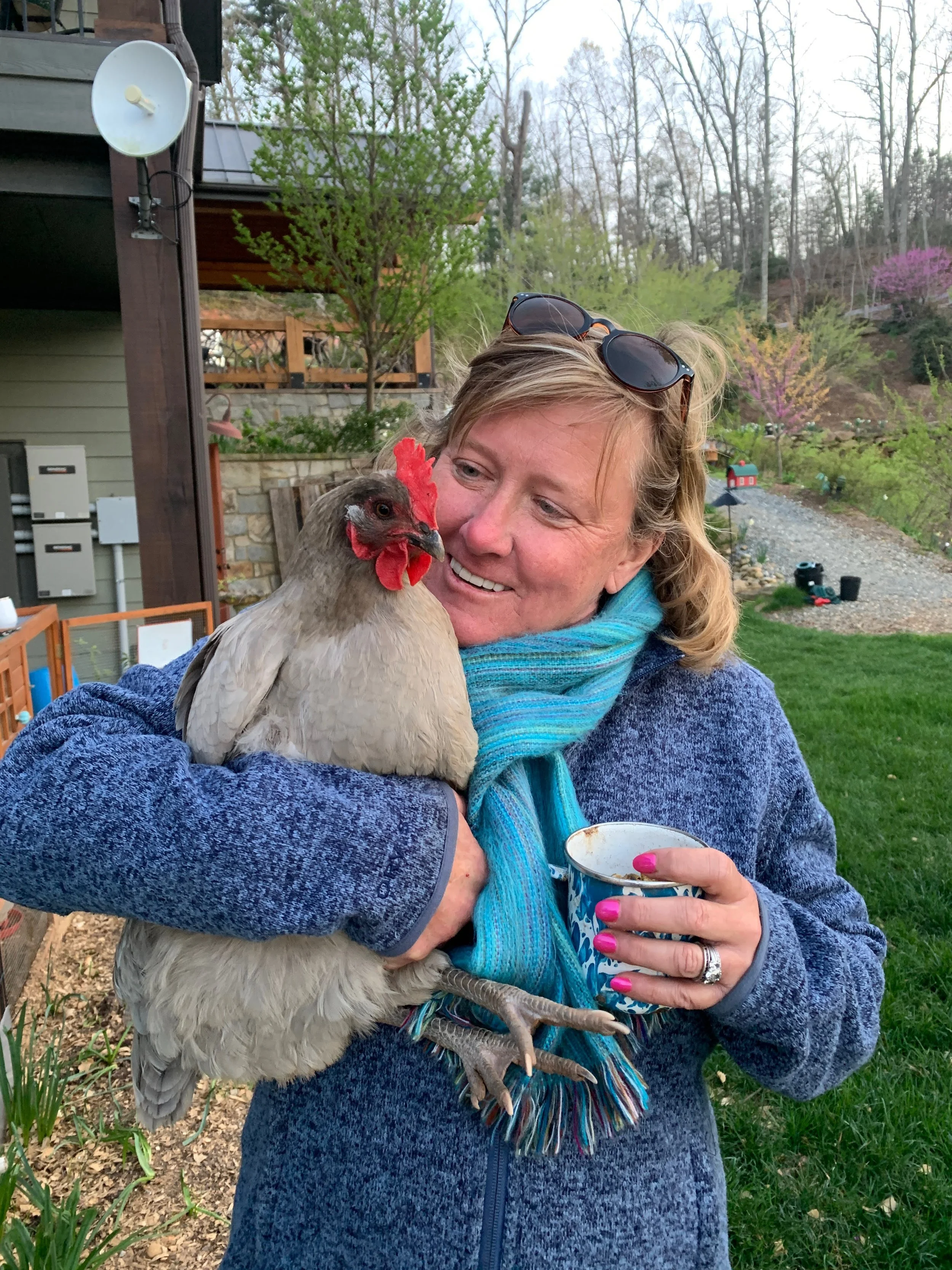 A woman with sunglasses on her head is holding a hen and a cup outdoors in a backyard with trees and plants.