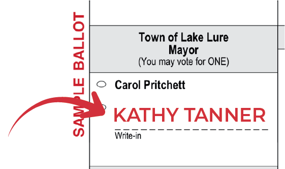 Sample ballot showing a list of candidates for the Town of Lake Lure mayor, with Kathy Tanner marked as a write-in candidate.